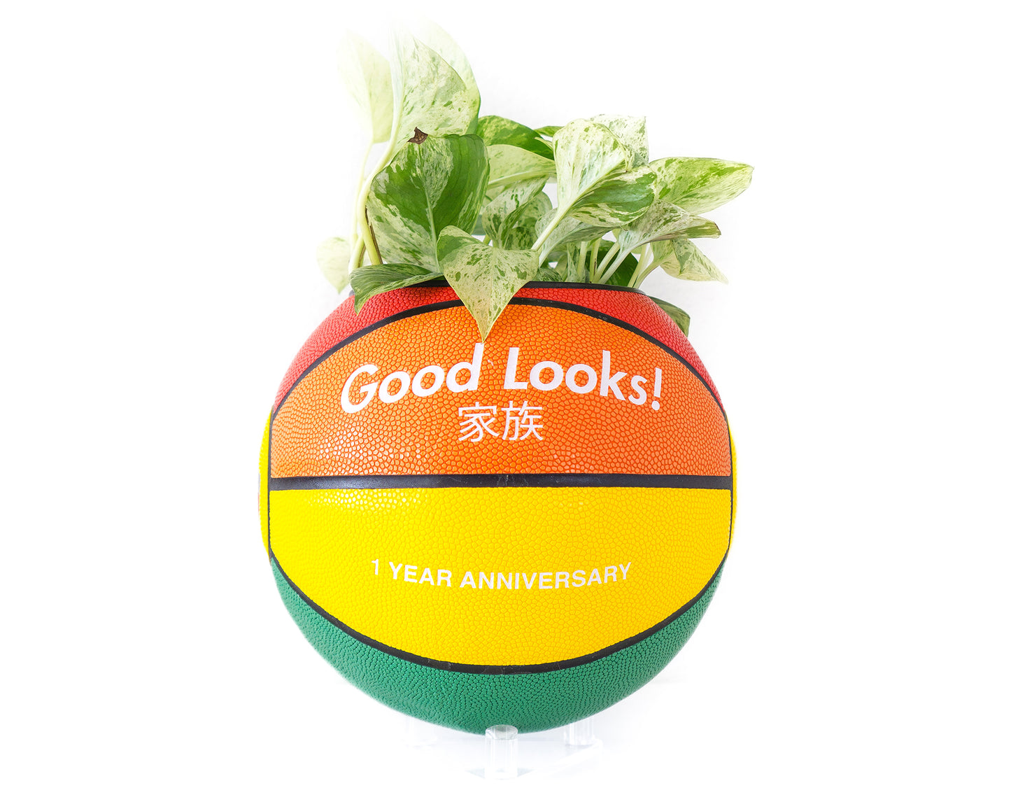 goodlooks "flower" plntr
