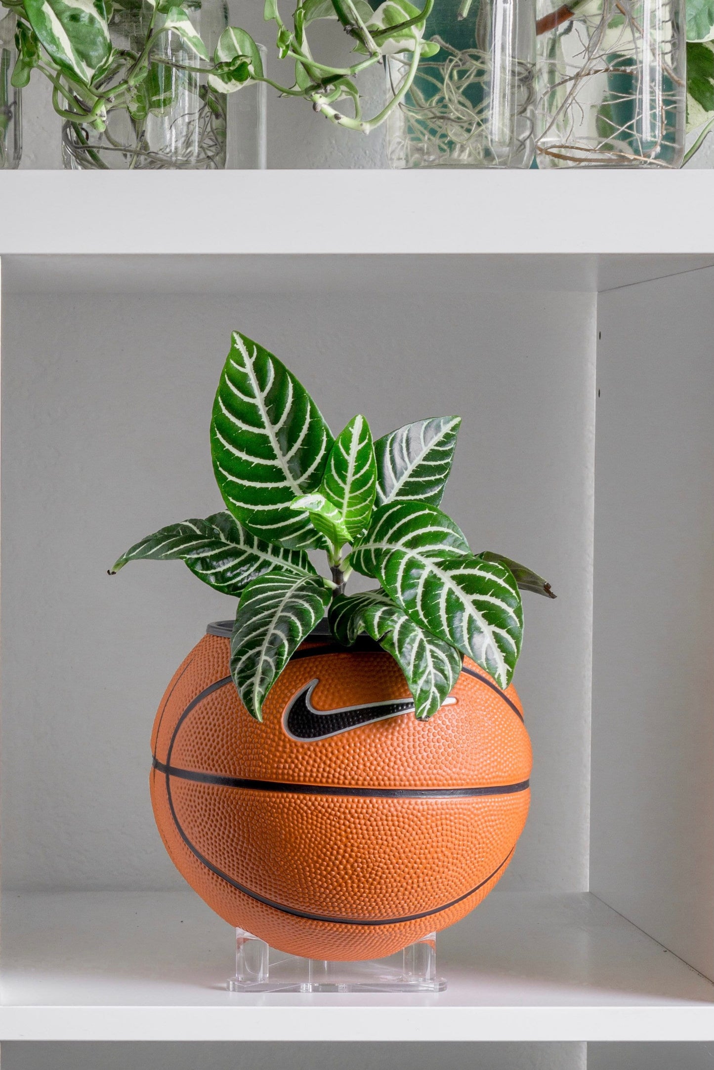 plntrs - Nike Swoosh Skills Mini Basketball Planter - new ball with stand