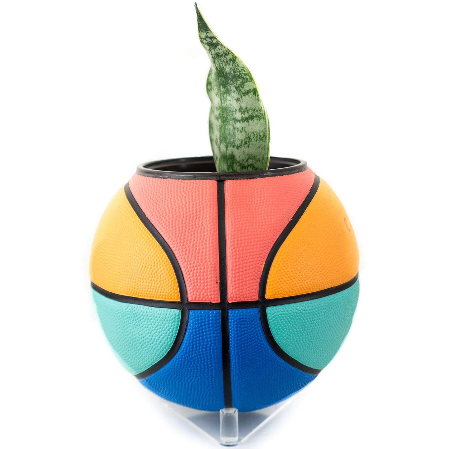 plntrs - Chance Juicy Limited Edition Basketball Planter with stand (full size)