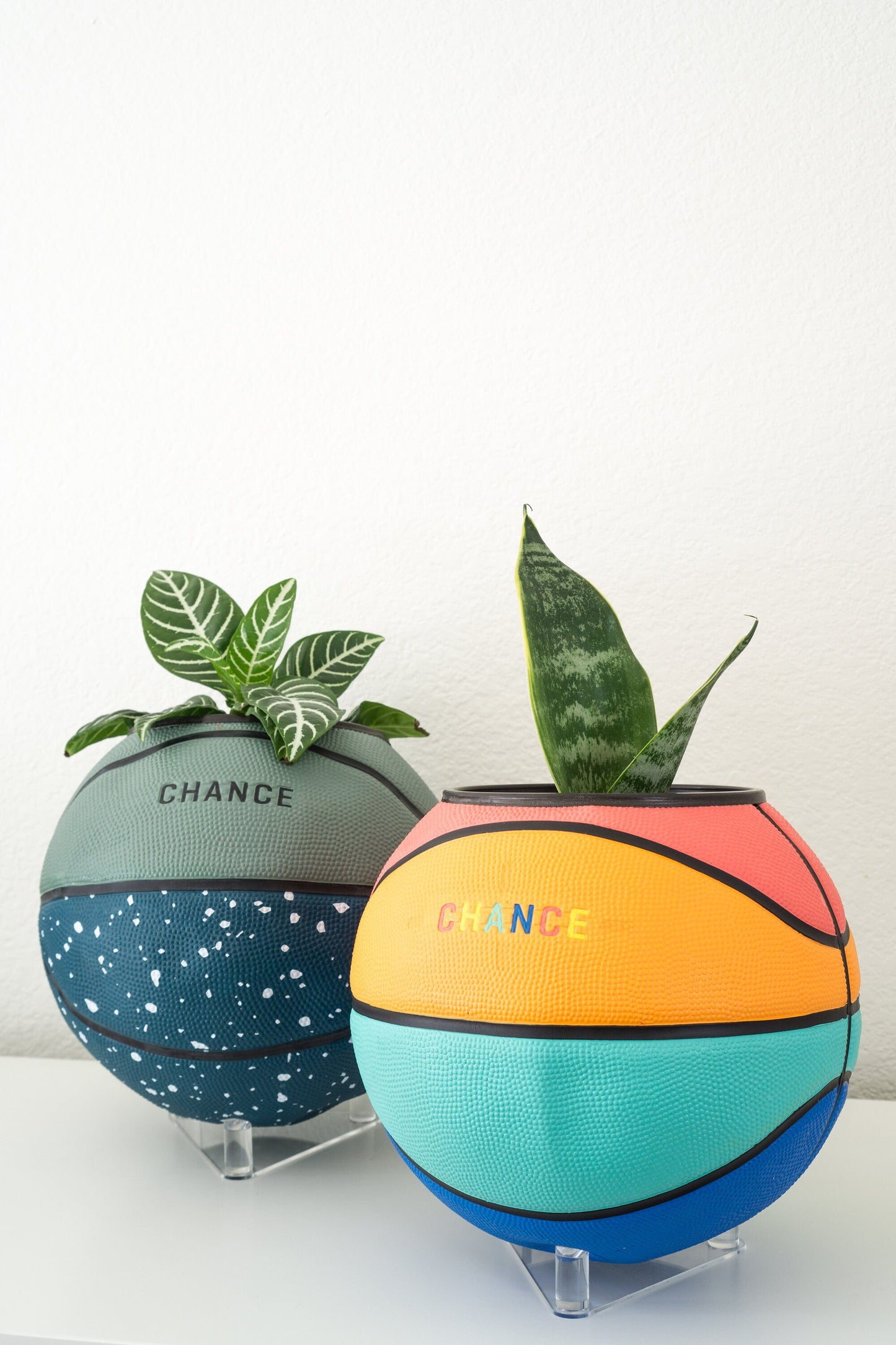 plntrs - Chance Juicy Limited Edition Basketball Planter with stand (full size)