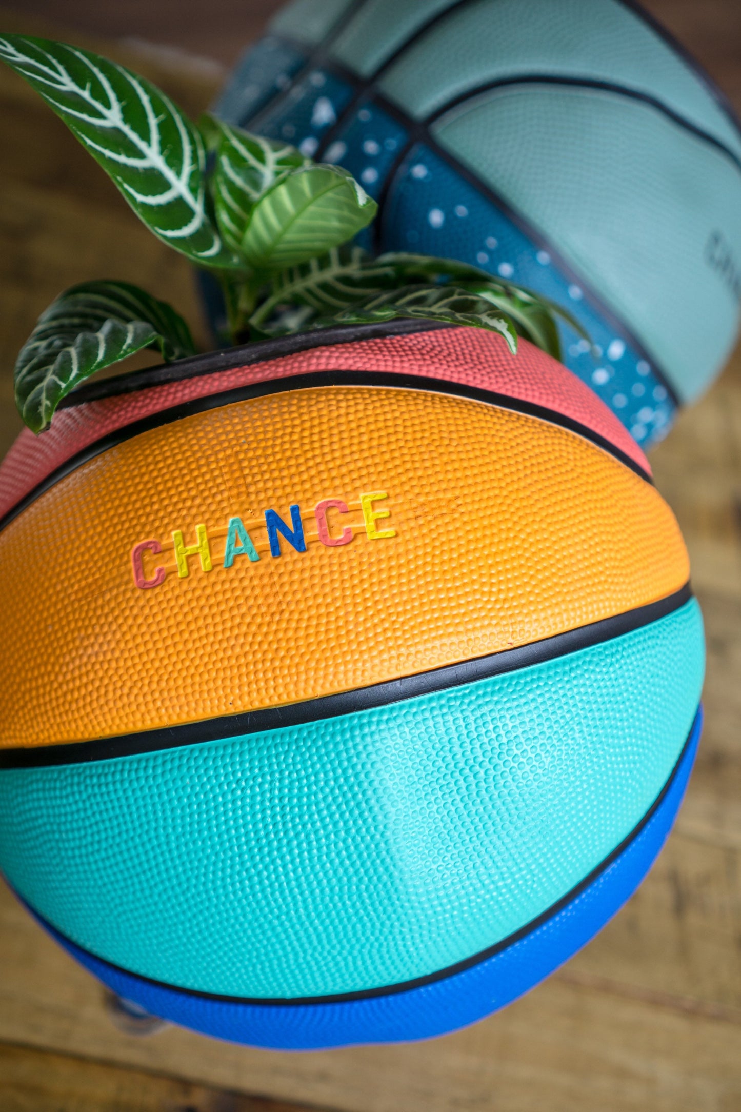 plntrs - Chance Juicy Limited Edition Basketball Planter with stand (full size)