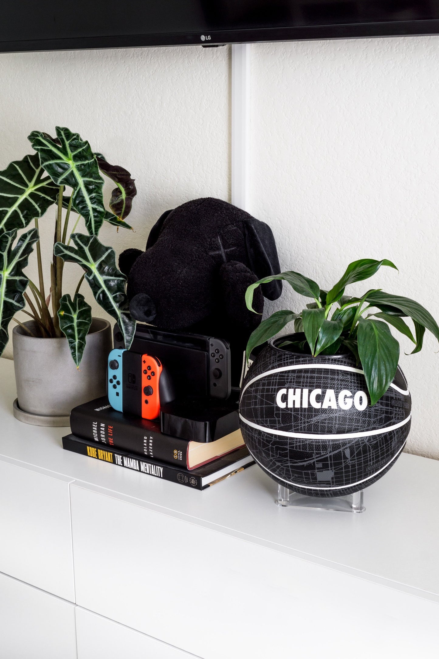 plntrs - Nike Miami City Dominate Basketball Planter with stand (full size)