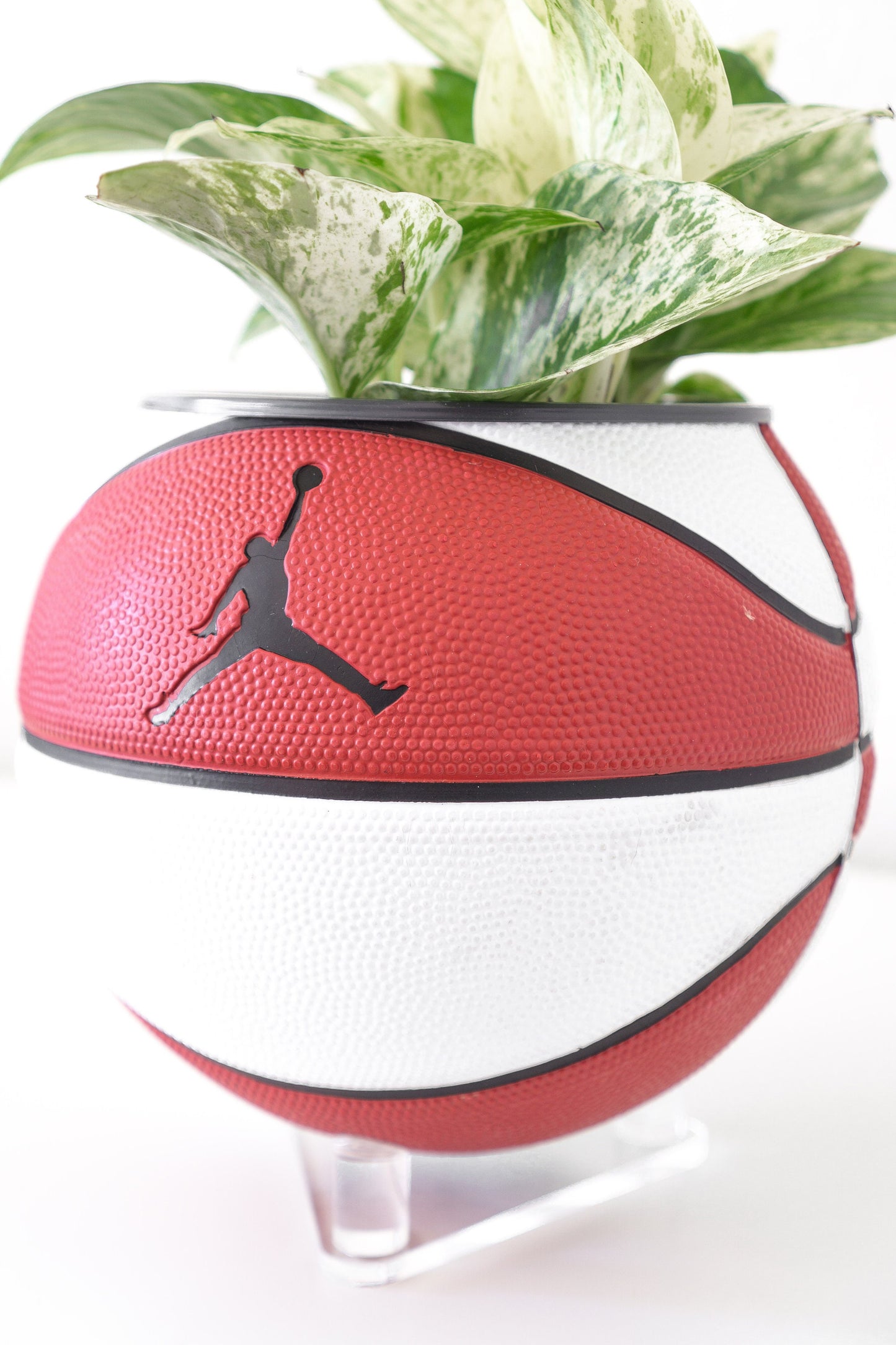 plntrs - Jordan Skills Mini Basketball Planter with stand