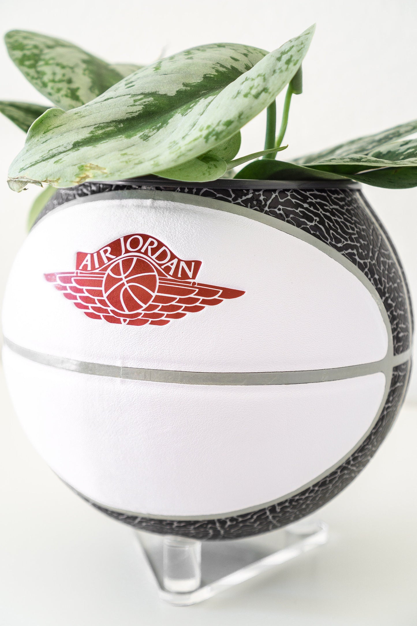 plntrs - Jordan Premium Wings Elephant Print Mini Basketball Planter with stand