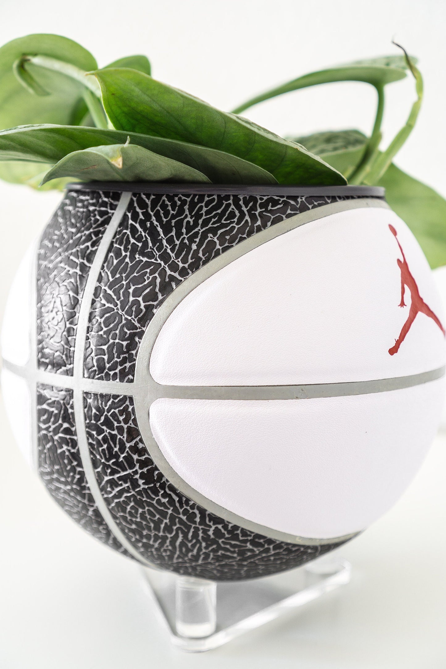 plntrs - Jordan Premium Wings Elephant Print Mini Basketball Planter with stand