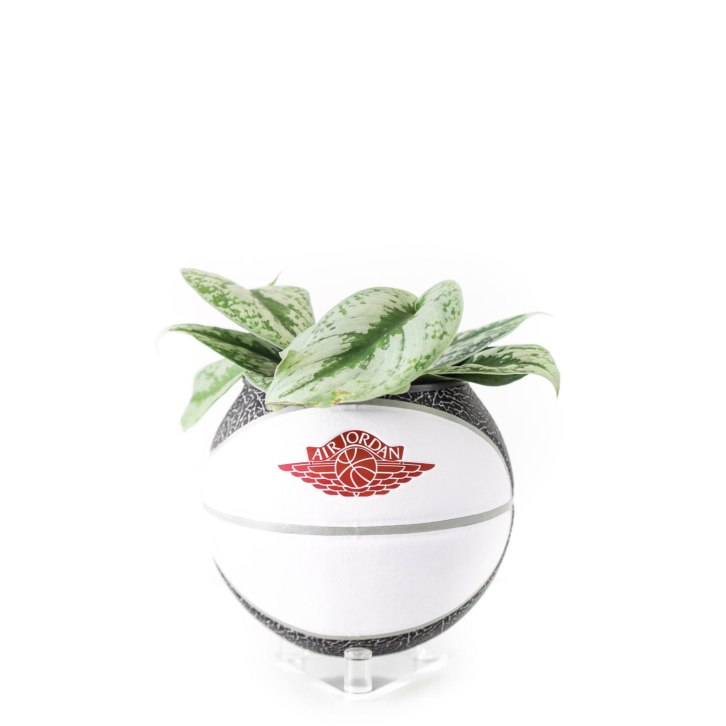 plntrs - Jordan Premium Wings Elephant Print Mini Basketball Planter with stand