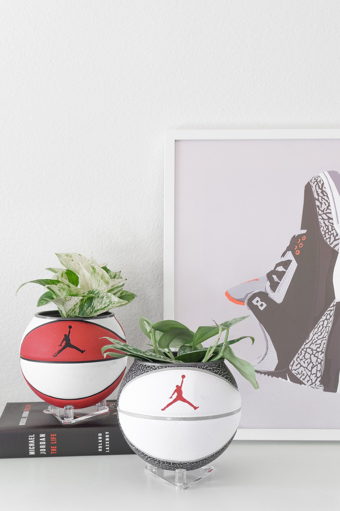 plntrs - Jordan Premium Wings Elephant Print Mini Basketball Planter with stand