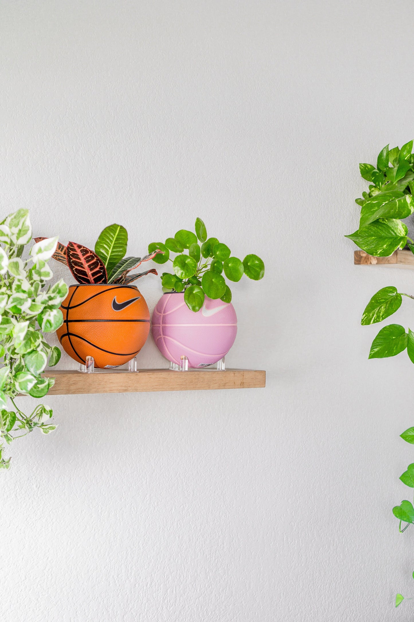 plntrs - Nike Swoosh Skills Mini Basketball Planter - new ball with stand