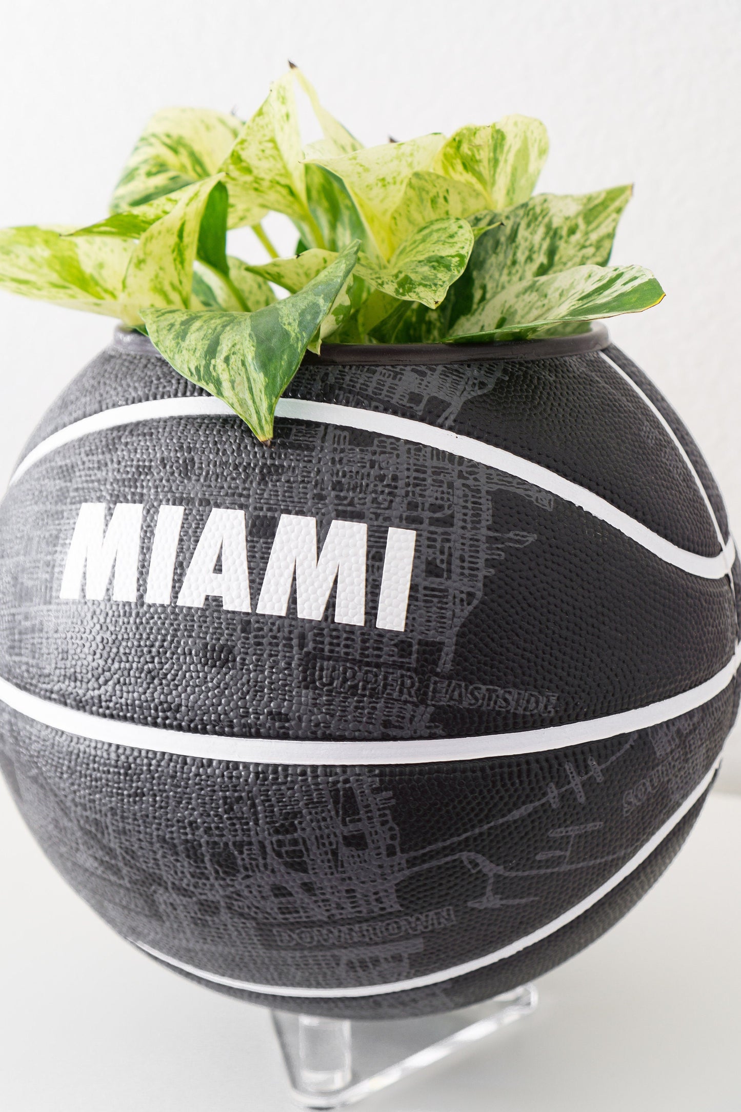 plntrs - Nike Miami City Dominate Basketball Planter with stand (full size)