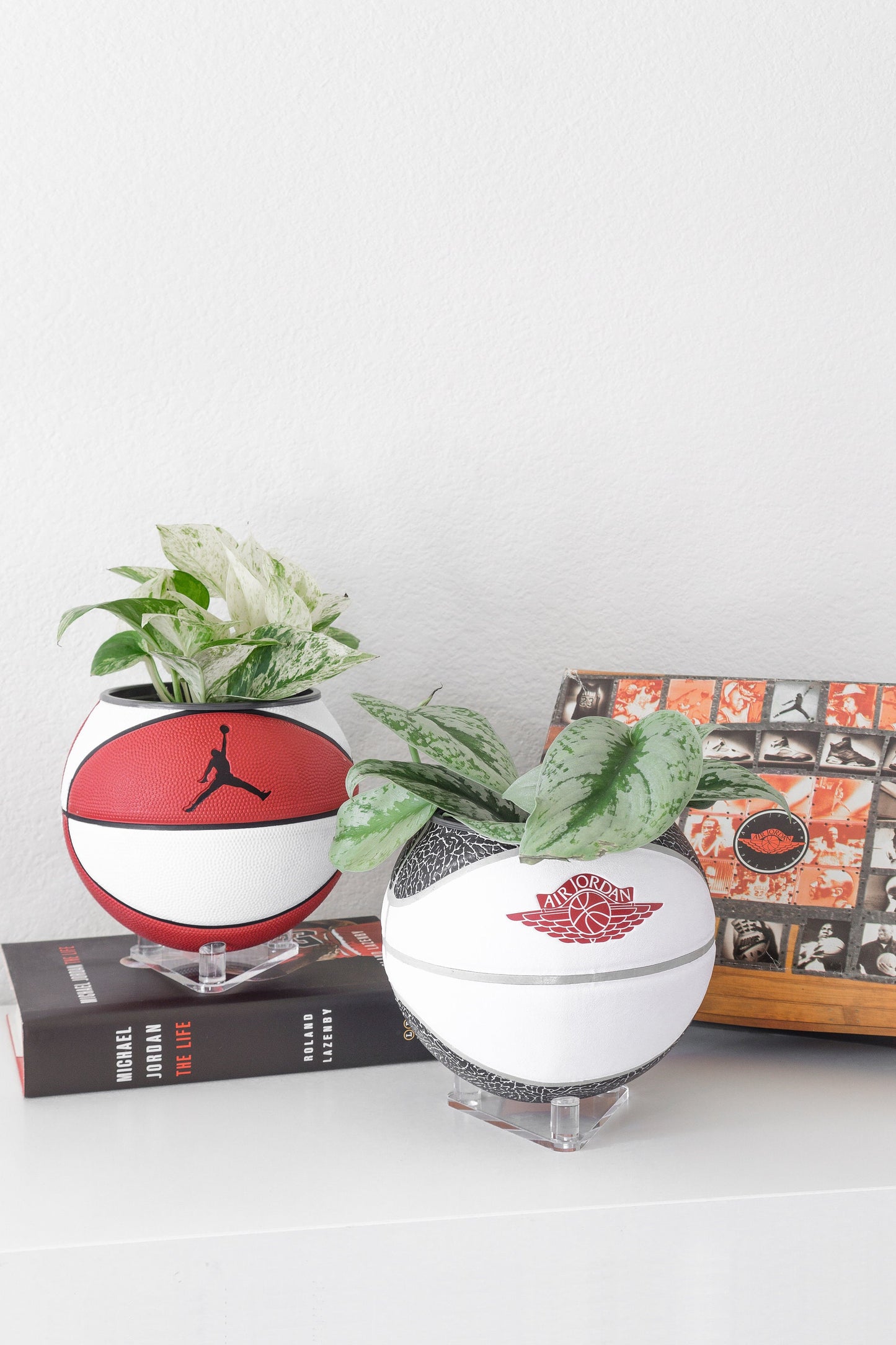 plntrs - Jordan Premium Wings Elephant Print Mini Basketball Planter with stand