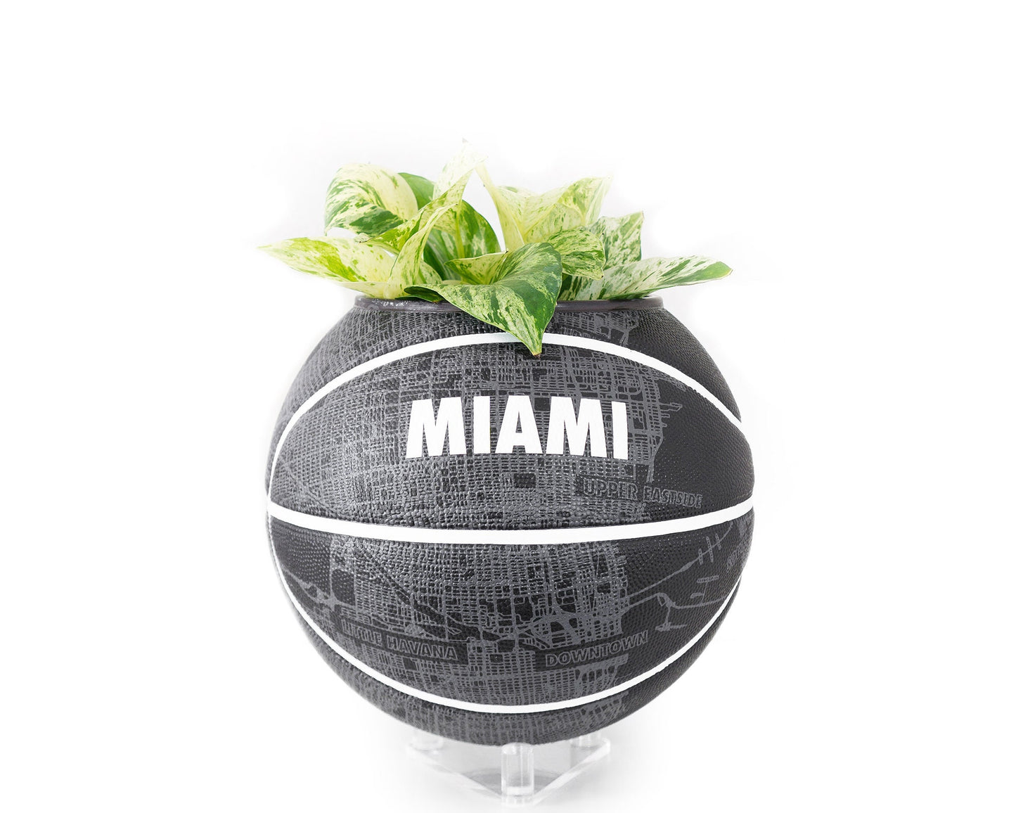 plntrs - Nike Miami City Dominate Basketball Planter with stand (full size)