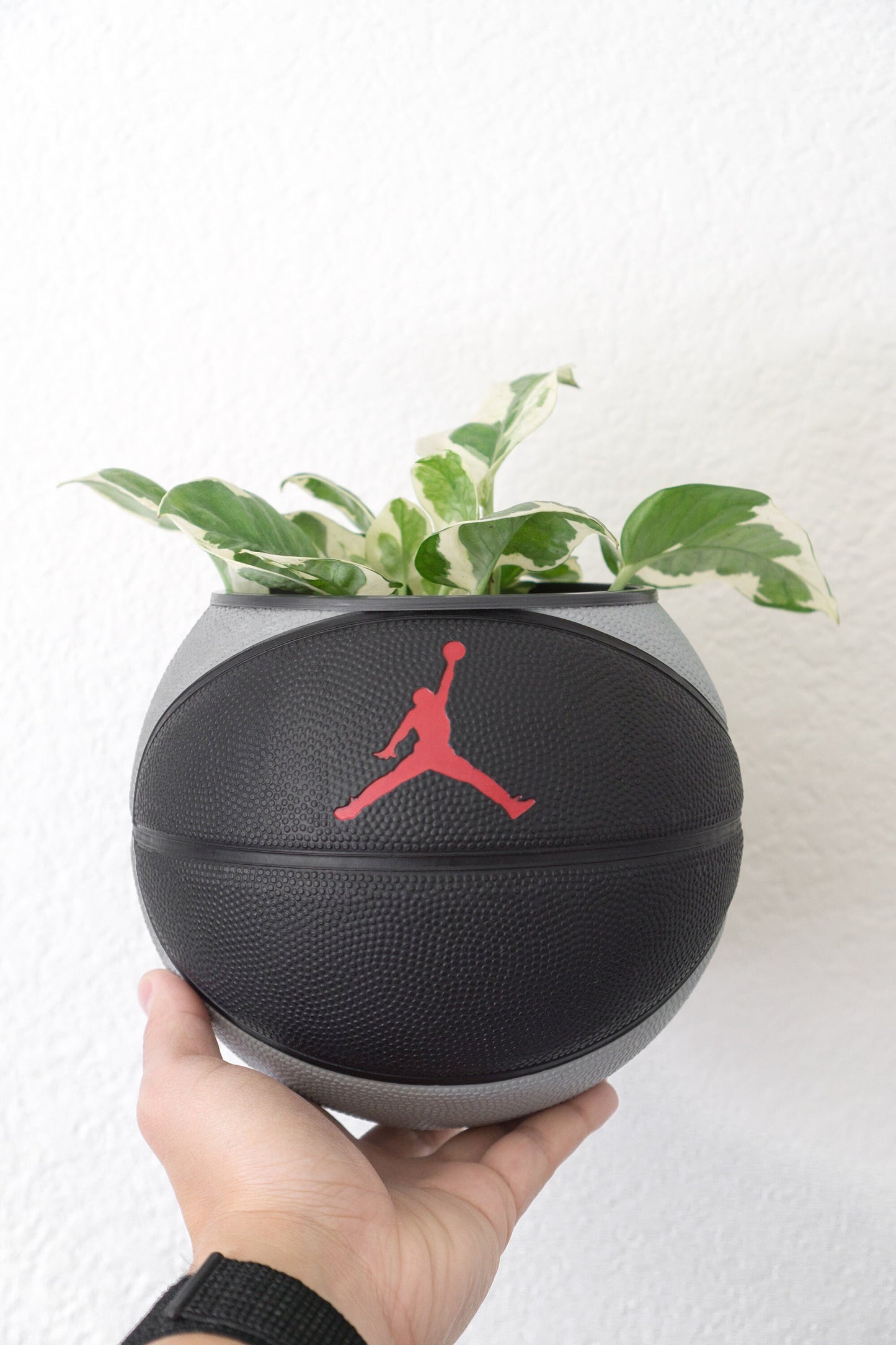 plntrs - Jordan Skills Mini Basketball Planter with stand