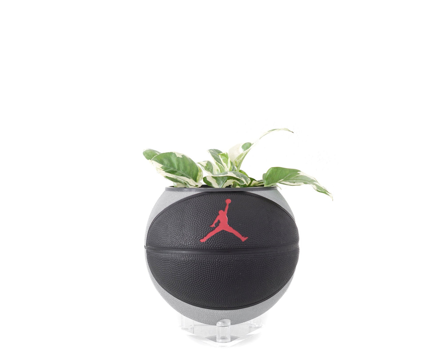 plntrs - Jordan Skills Mini Basketball Planter with stand