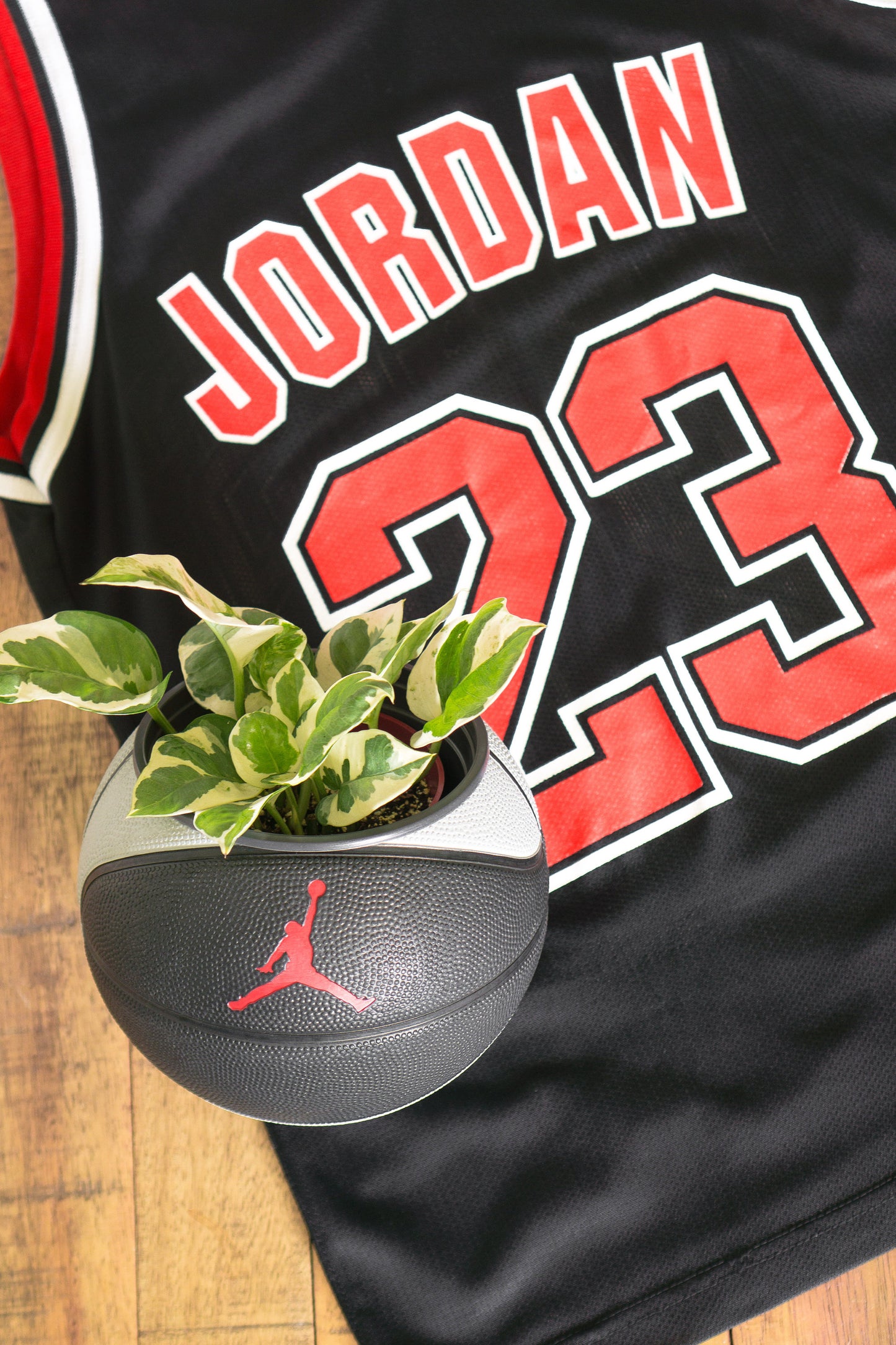 plntrs - Jordan Skills Mini Basketball Planter with stand