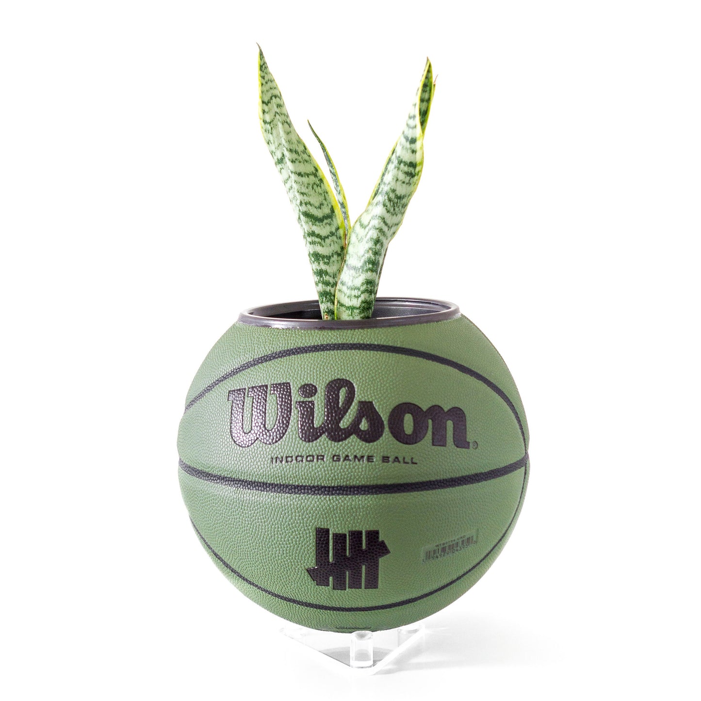 plntrs - Wilson x Undefeated Olive Limited Edition Basketball Planter with stand (full size)