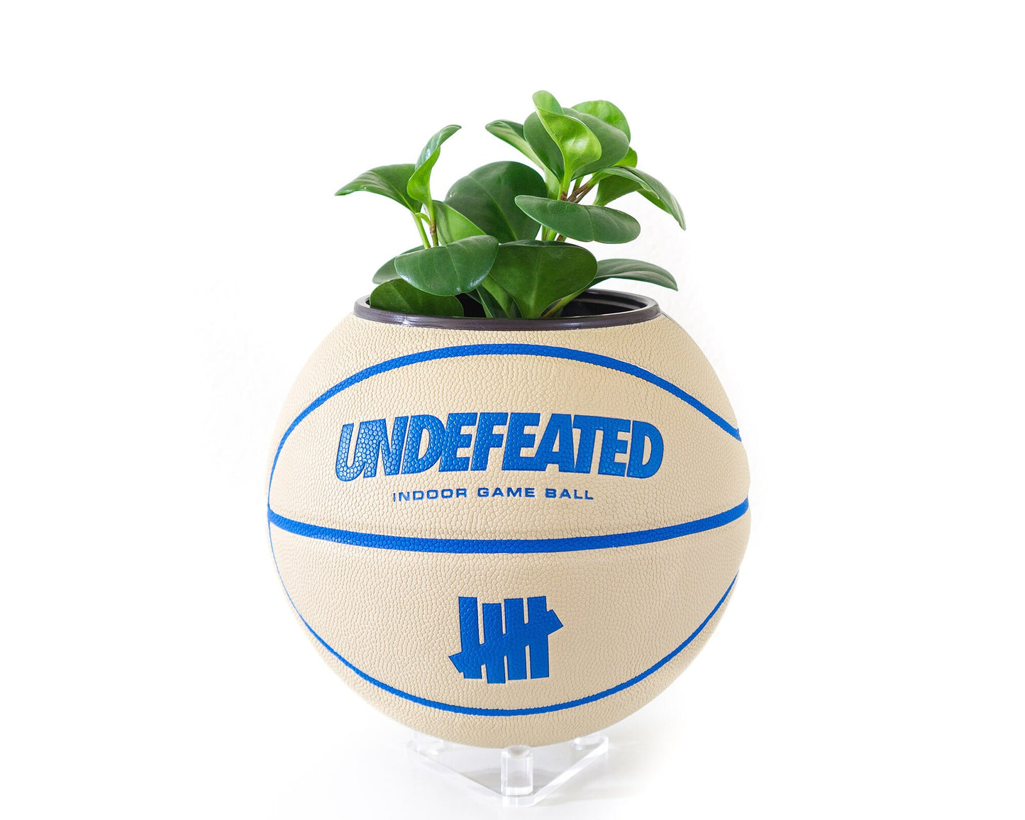 plntrs - Wilson x Undefeated Taupe Limited Edition Basketball Planter with stand (full size)