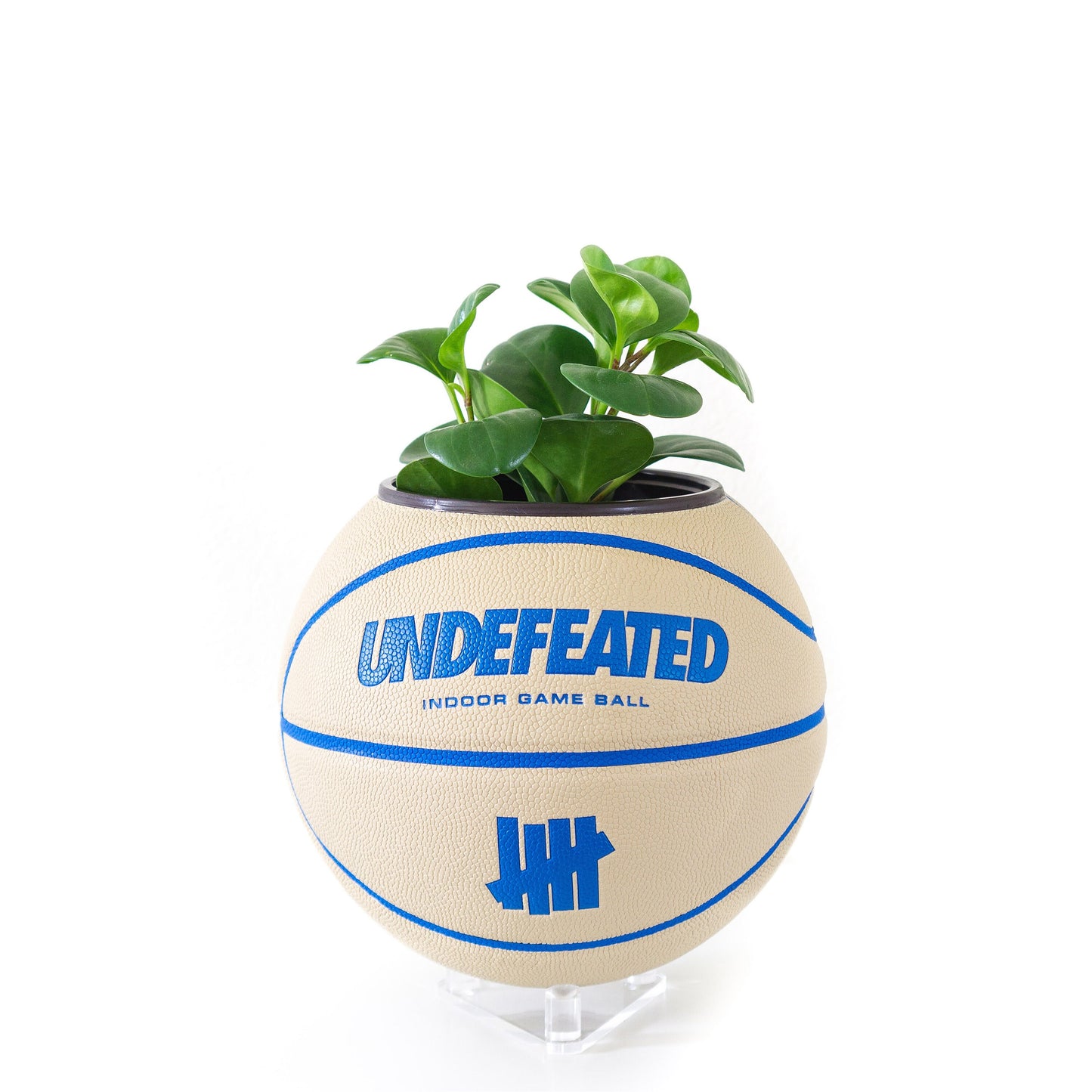 plntrs - Wilson x Undefeated Taupe Limited Edition Basketball Planter with stand (full size)