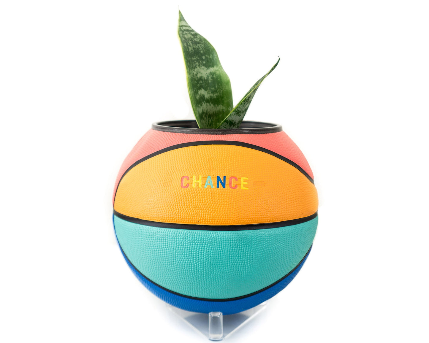 plntrs - Chance Juicy Limited Edition Basketball Planter with stand (full size)