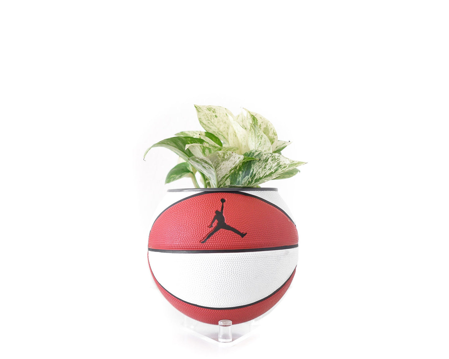 plntrs - Jordan Skills Mini Basketball Planter with stand