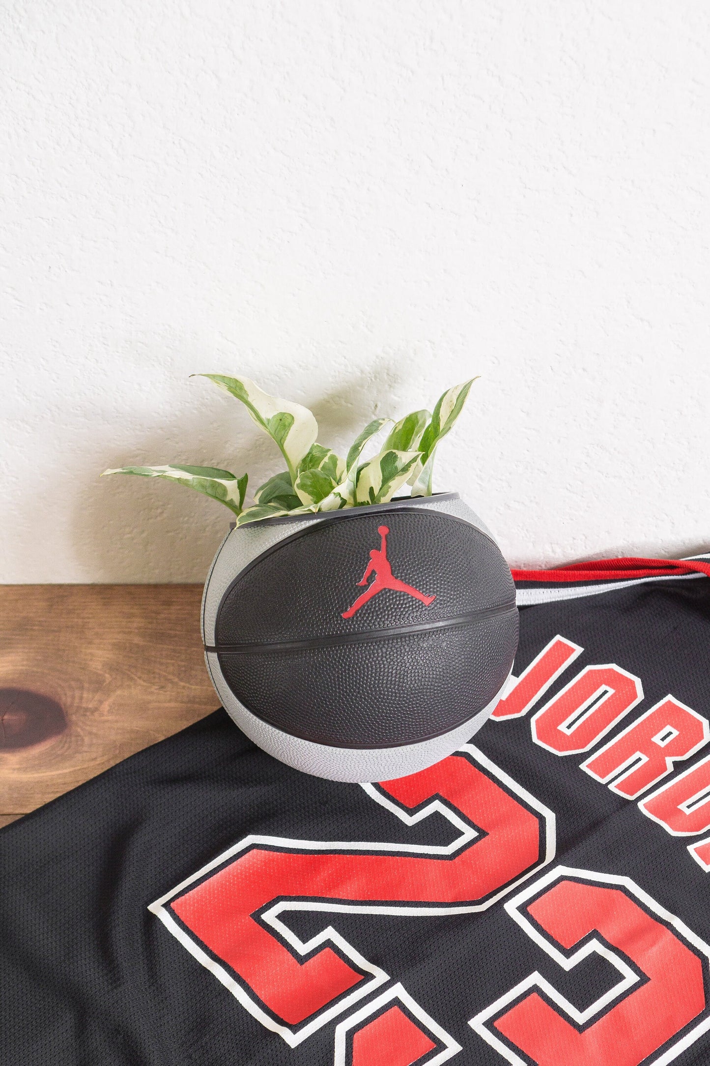 plntrs - Jordan Skills Mini Basketball Planter with stand