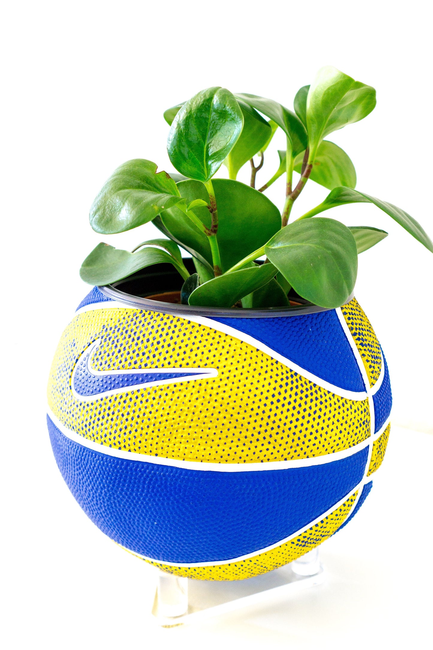 plntrs - Nike Royal Blue/Yellow Swoosh Mini Basketball Planter - new ball with stand