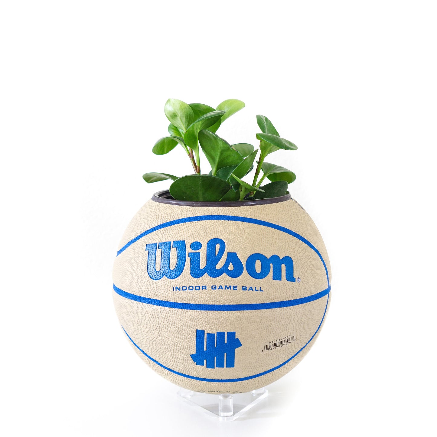 plntrs - Wilson x Undefeated Taupe Limited Edition Basketball Planter with stand (full size)