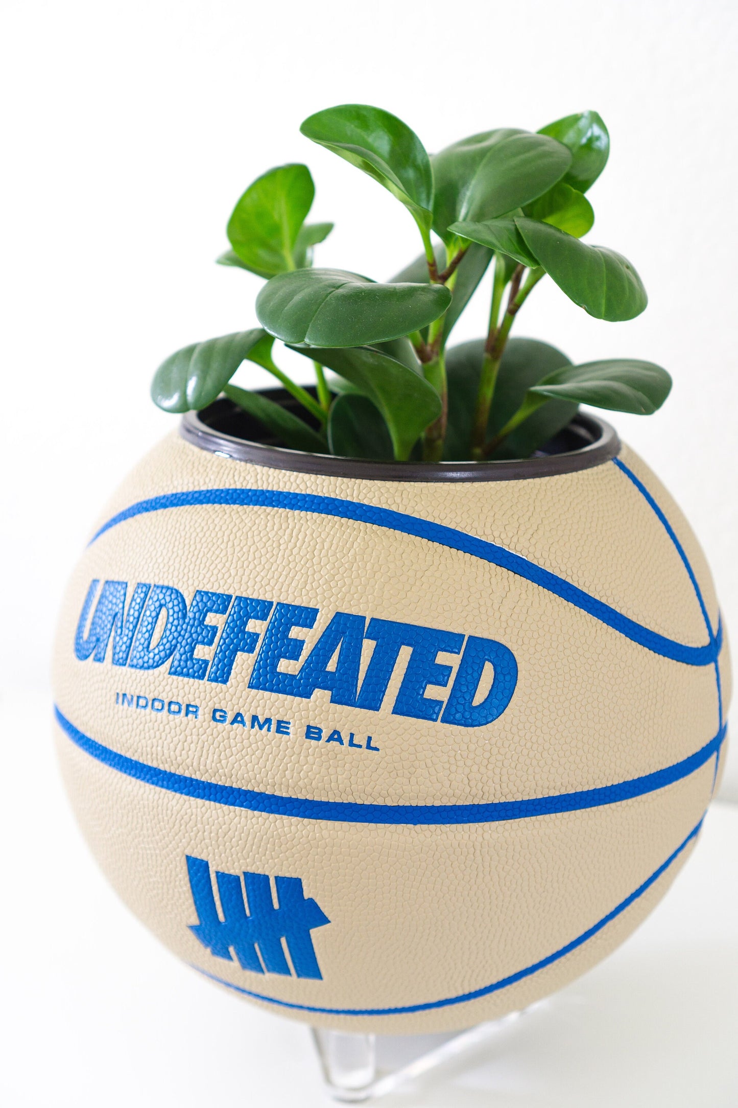 plntrs - Wilson x Undefeated Taupe Limited Edition Basketball Planter with stand (full size)