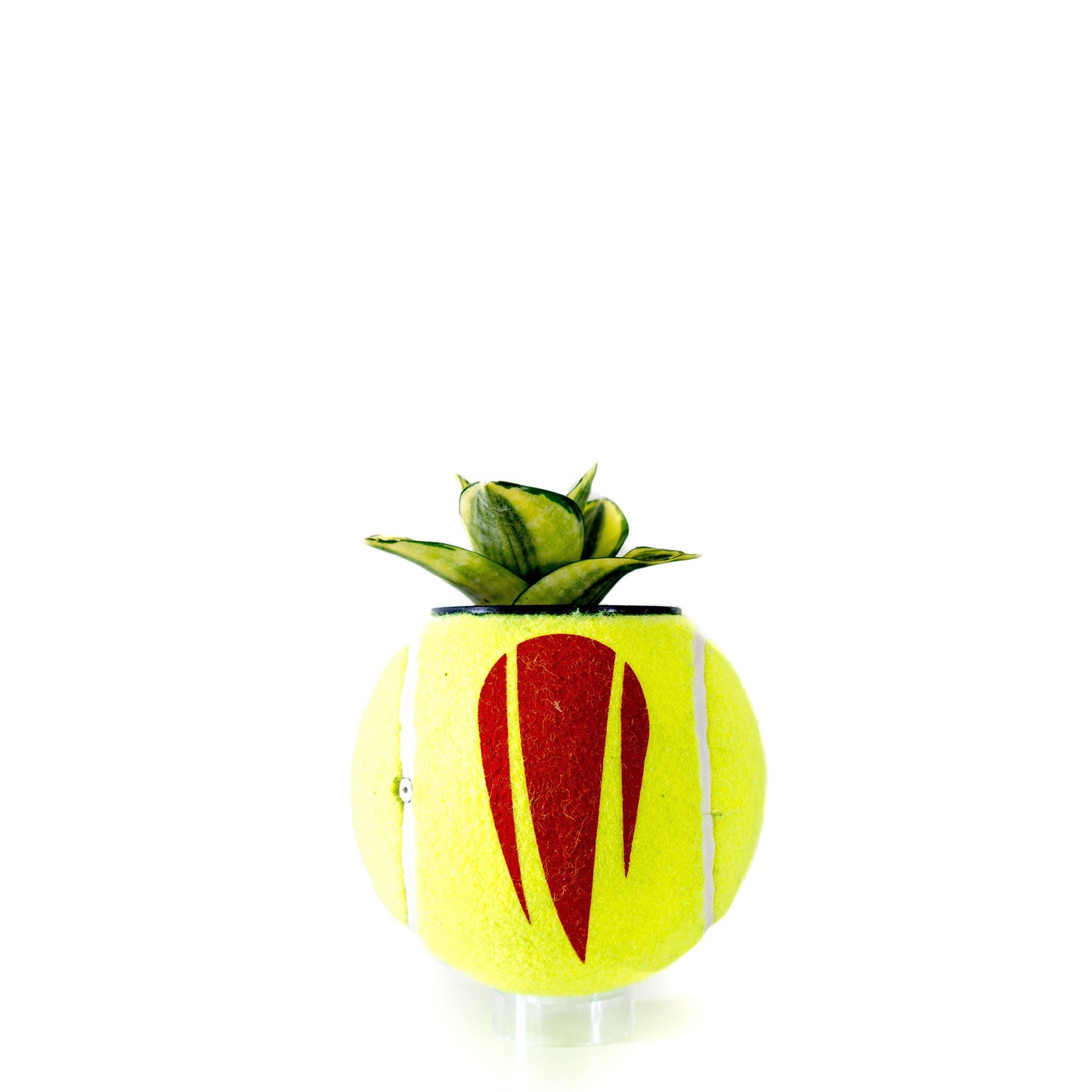 plntrs - Wilson US Open Tennis Jumbo Tennis Ball Planter