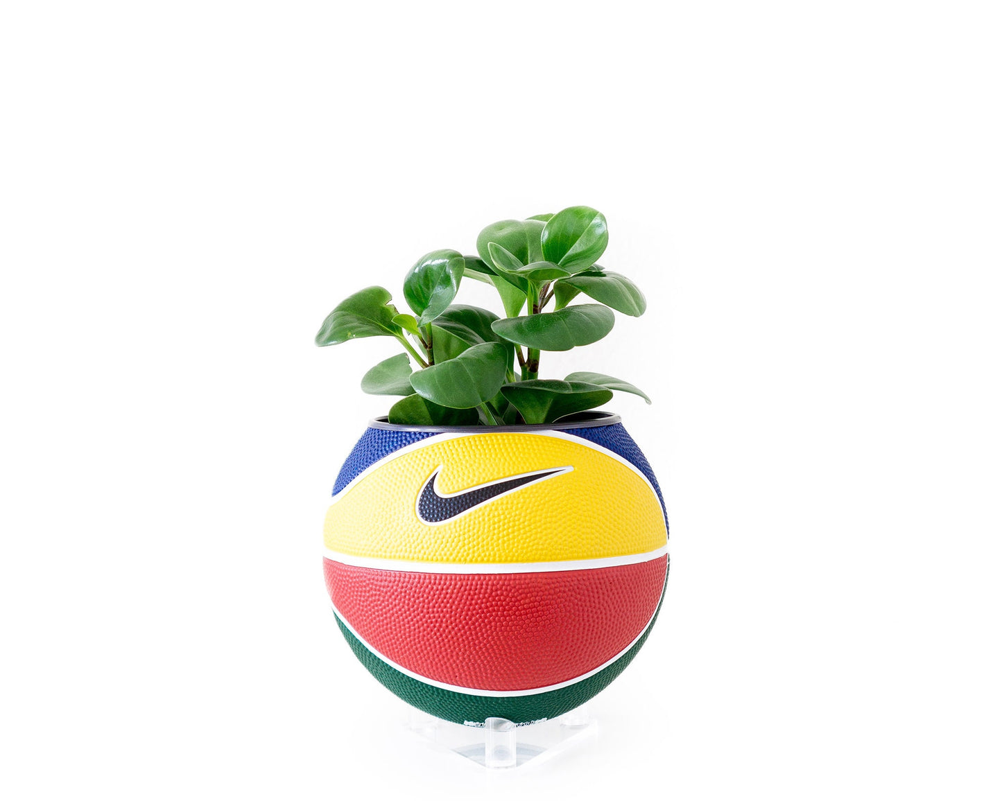 plntrs - Nike RYGB colorful Swoosh Mini Basketball Planter - new ball with stand