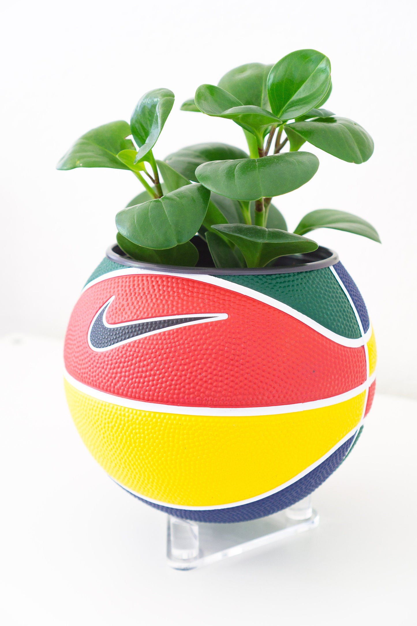 plntrs - Nike RYGB colorful Swoosh Mini Basketball Planter - new ball with stand
