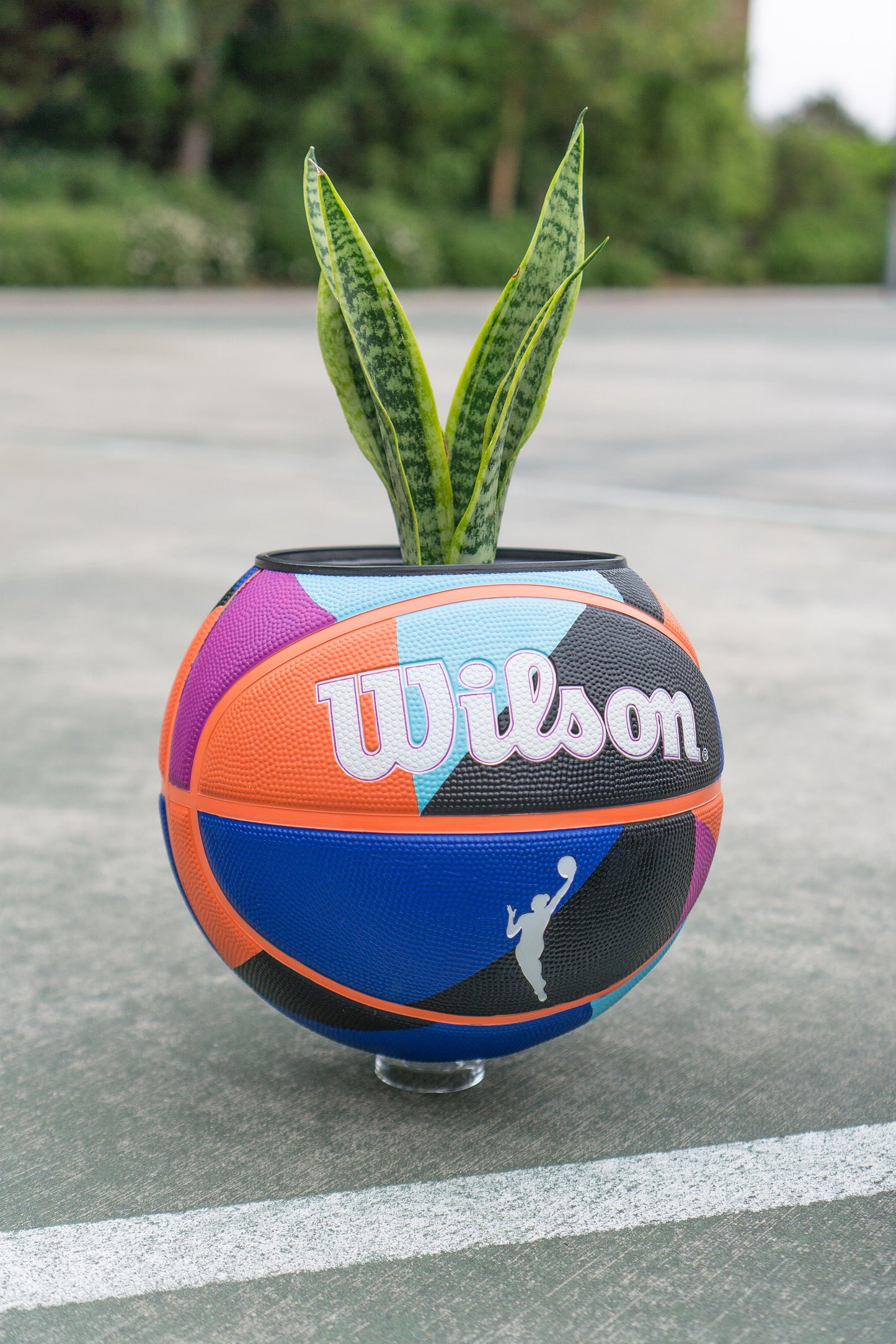 plntrs - WNBA Wilson HEIR Basketball Planter - new ball with stand