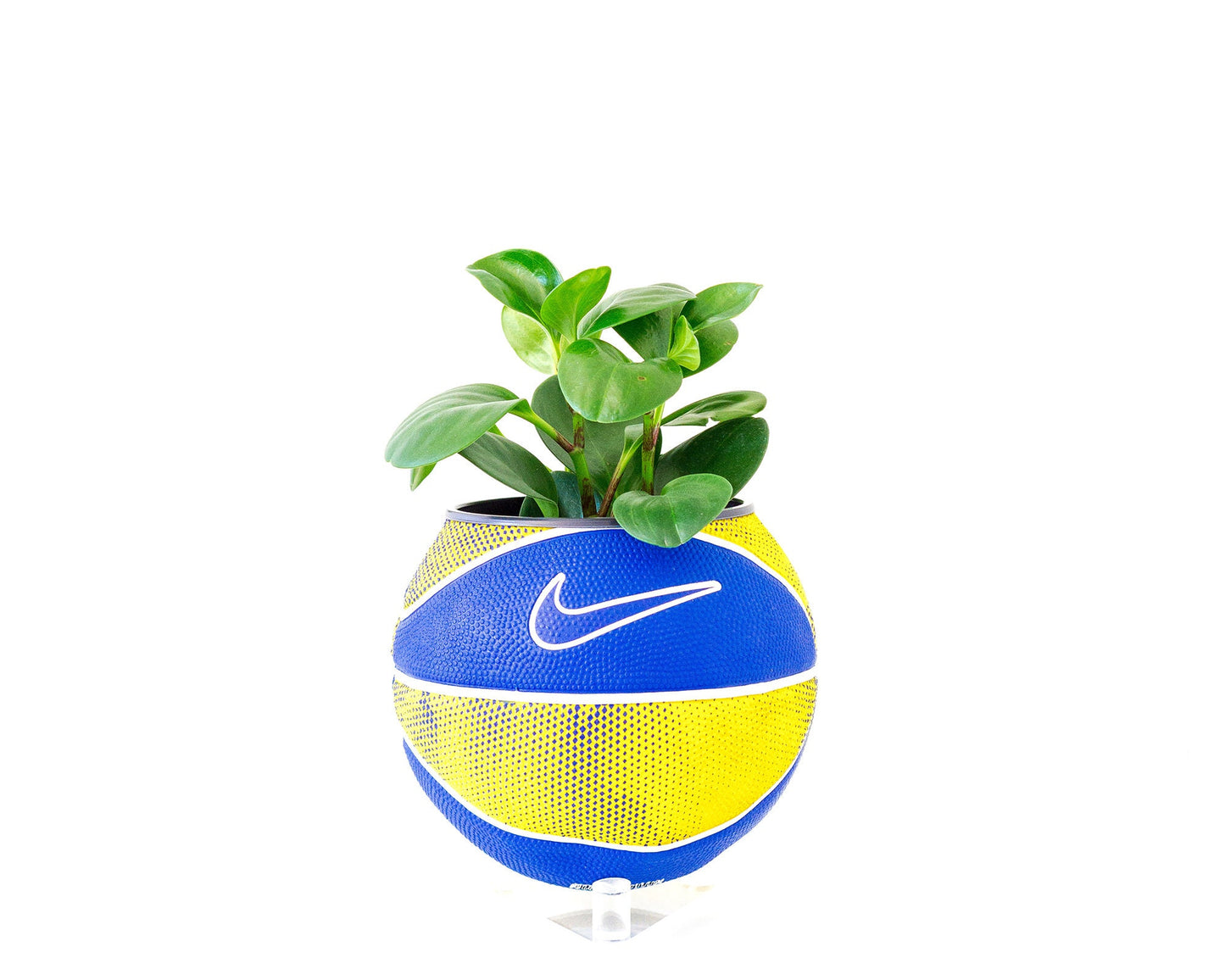 plntrs - Nike Royal Blue/Yellow Swoosh Mini Basketball Planter - new ball with stand