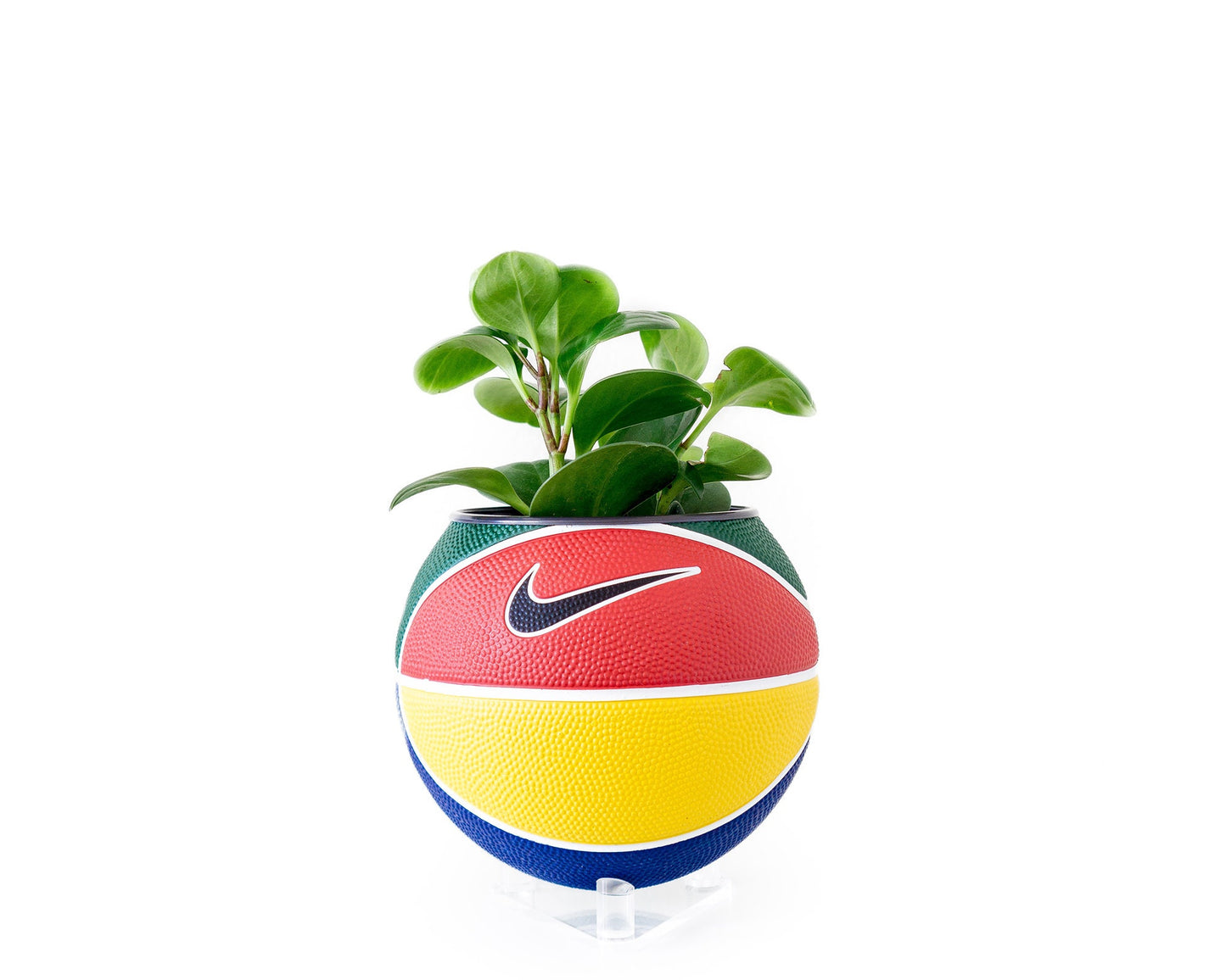 plntrs - Nike RYGB colorful Swoosh Mini Basketball Planter - new ball with stand