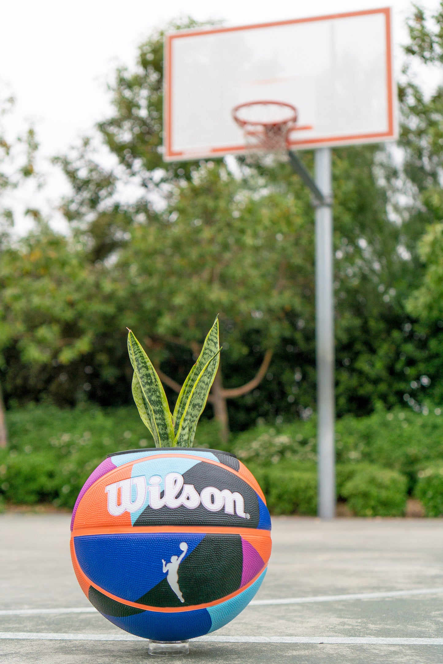 plntrs - WNBA Wilson HEIR Basketball Planter - new ball with stand