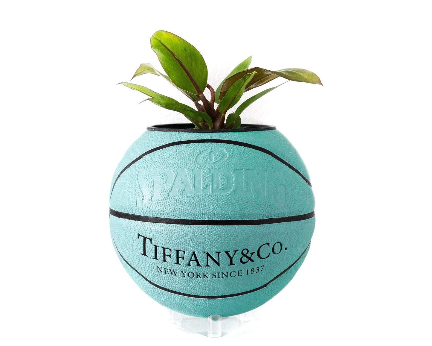 spalding "t&c" plntr