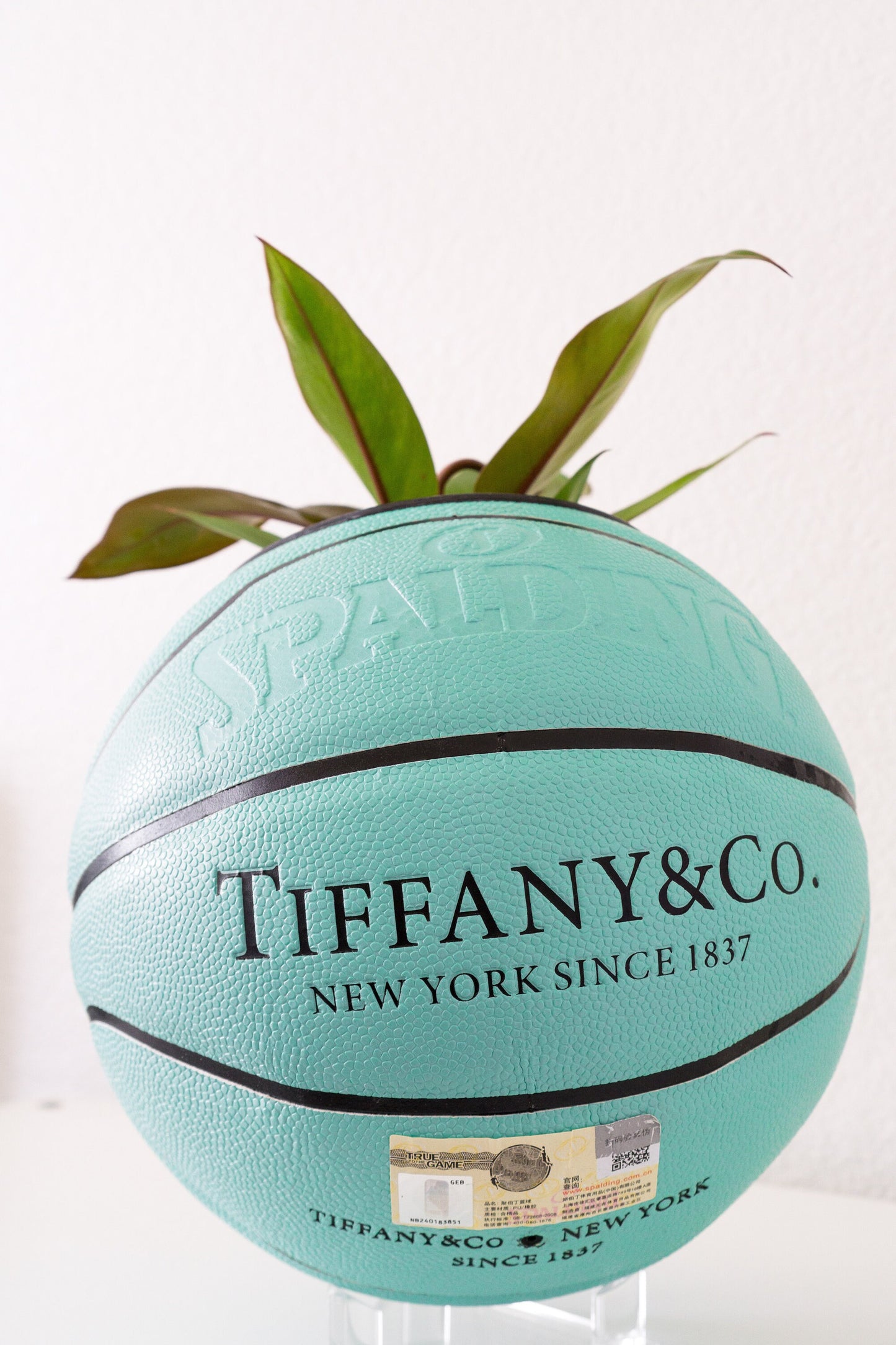 spalding "t&c" plntr