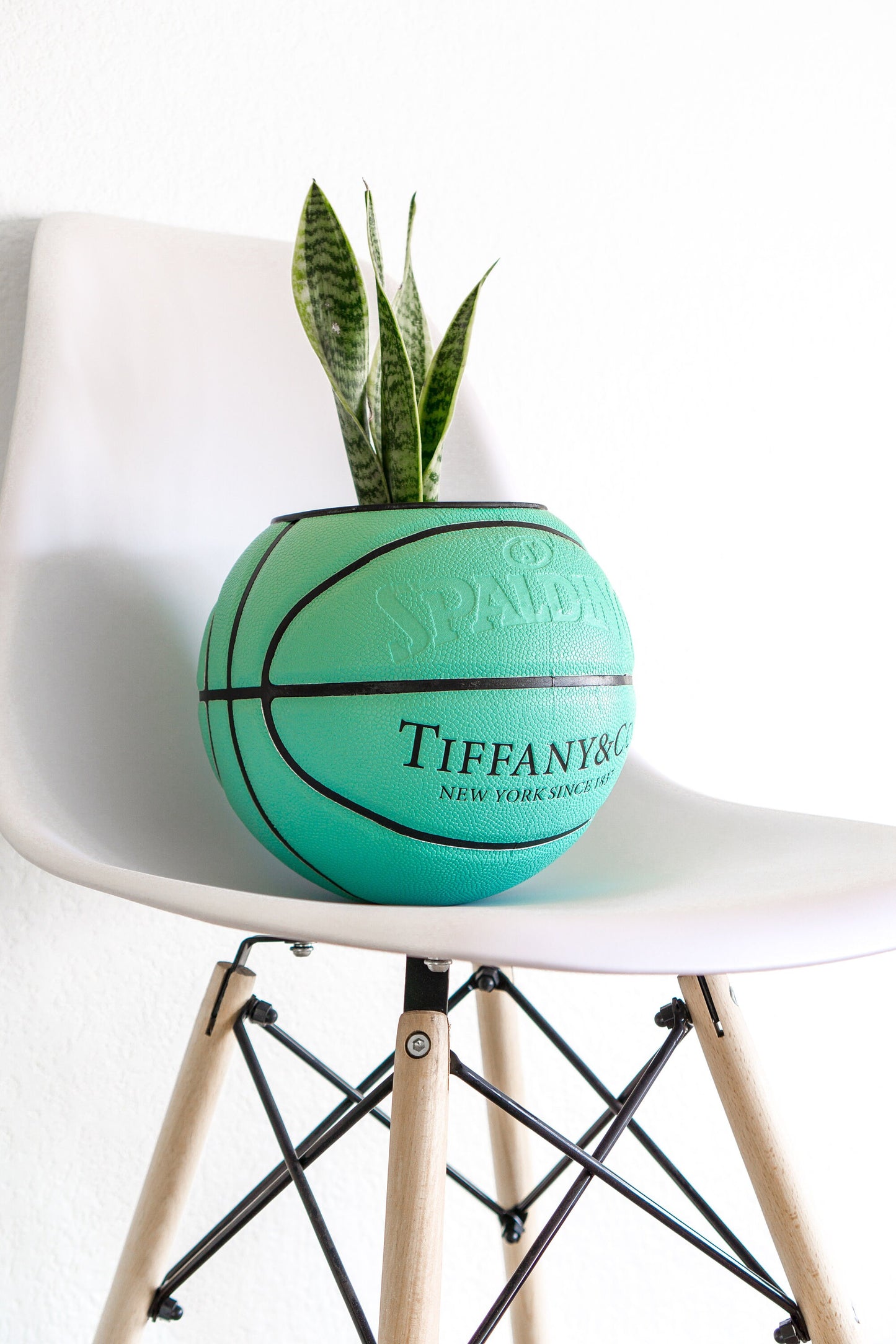 spalding "t&c" plntr
