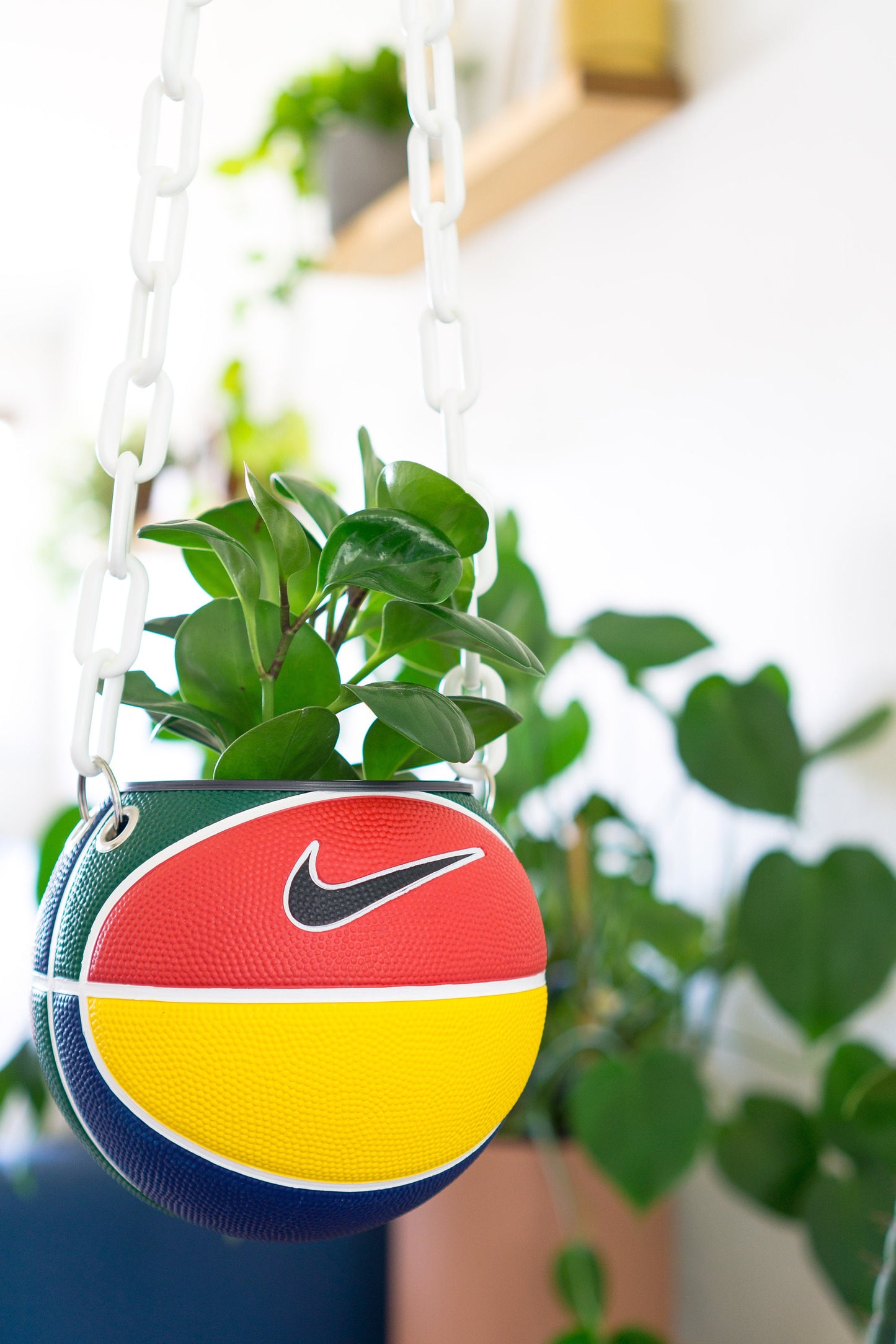 plntrs - Nike RYGB colorful Swoosh Mini Basketball Hanging Planter - new ball with chain
