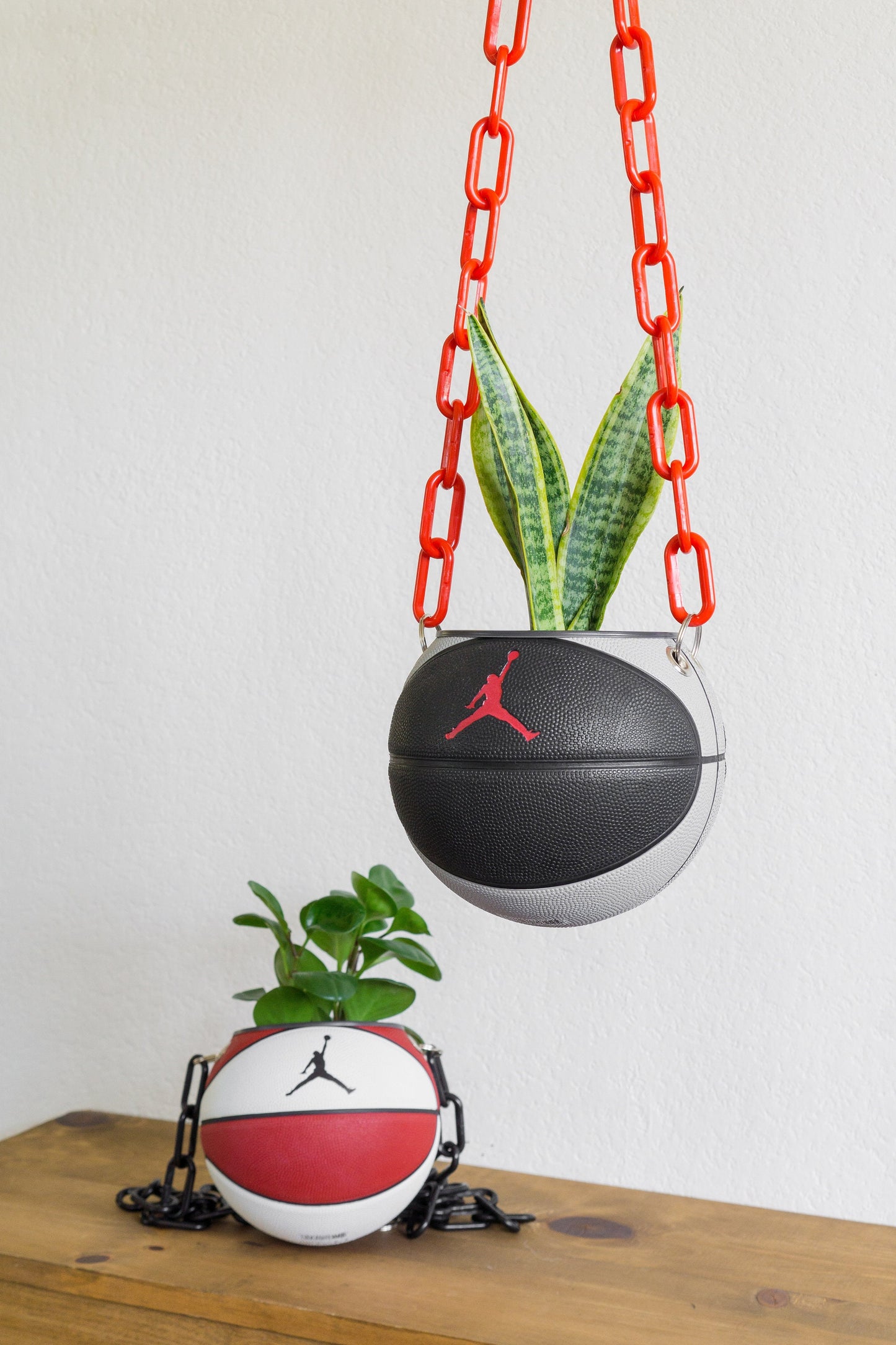 plntrs - Jordan Skills Mini Basketball Hanging Planter - new ball with chain