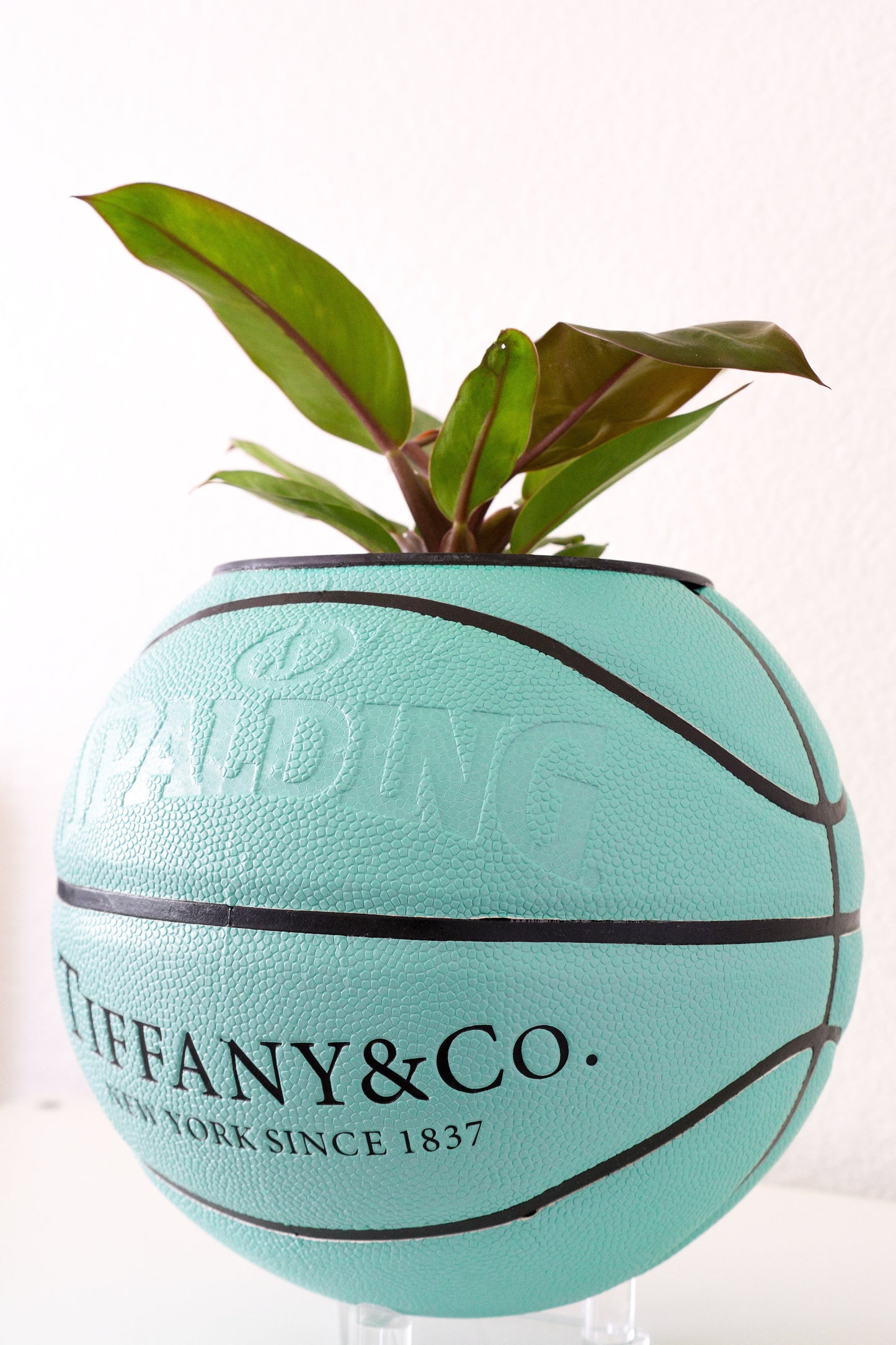 spalding "t&c" plntr