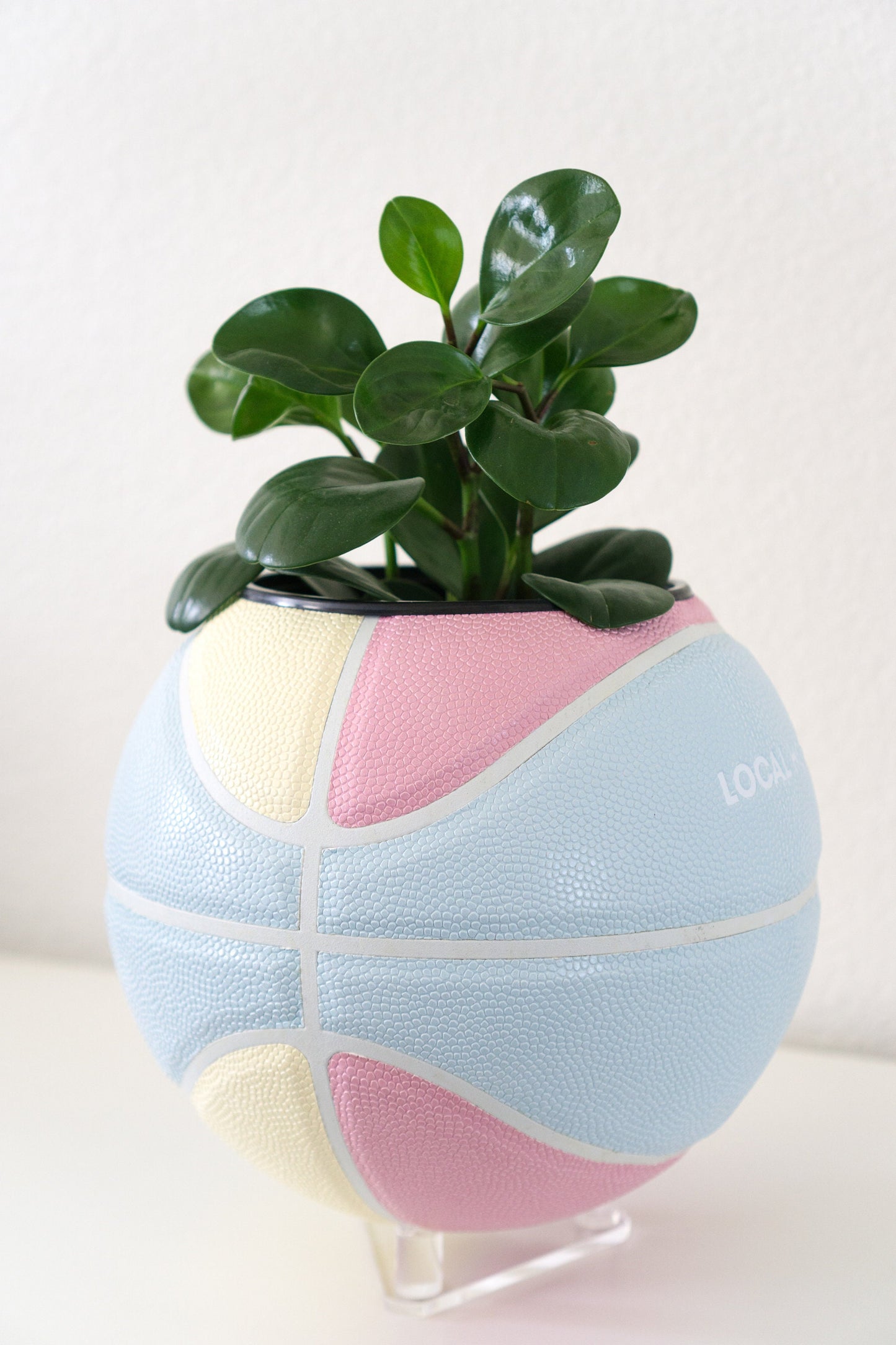 plntrs - Local Hoops Pastel Basketball Planter with stand (full size)