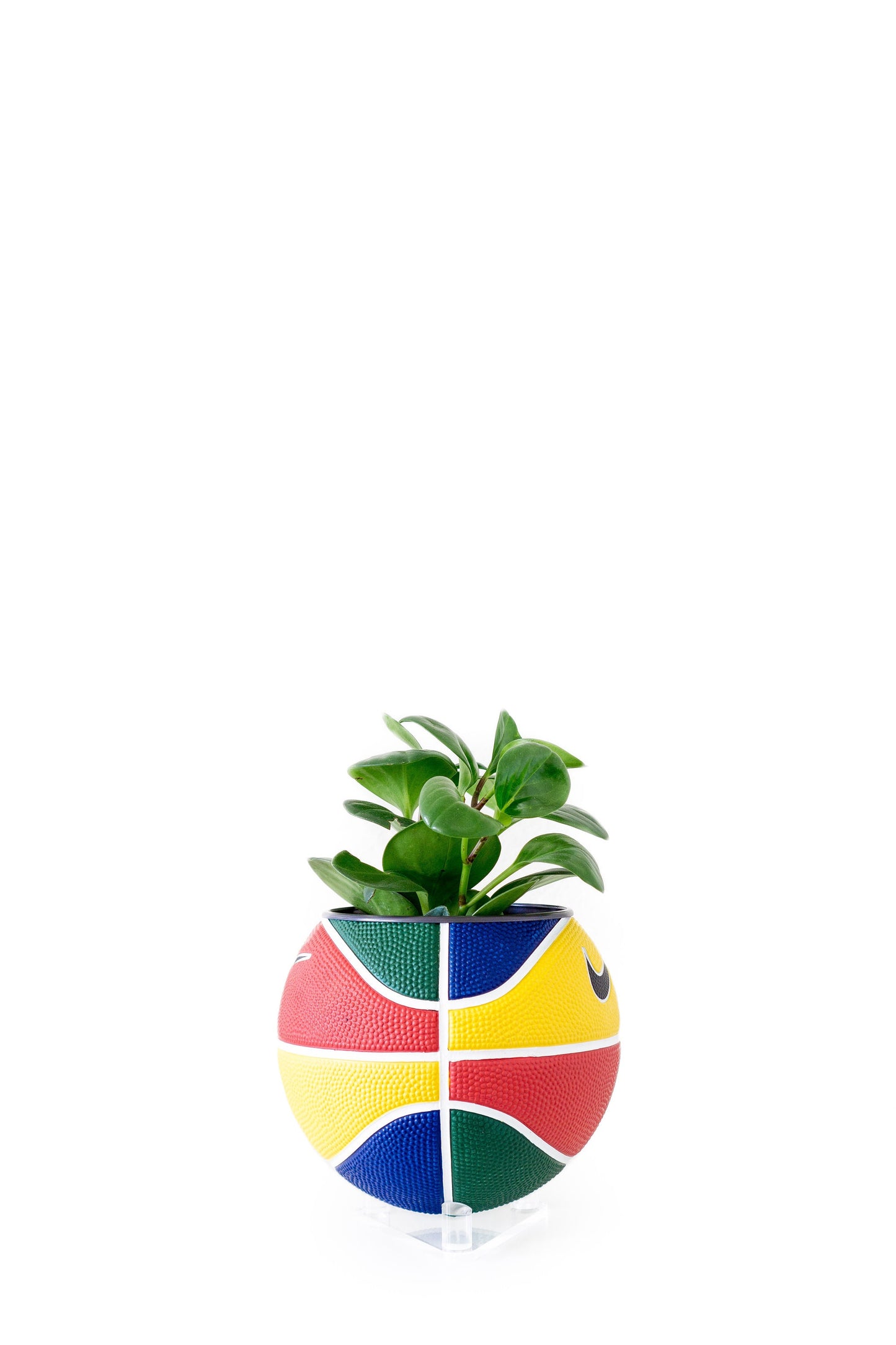 plntrs - Nike RYGB colorful Swoosh Mini Basketball Hanging Planter - new ball with chain