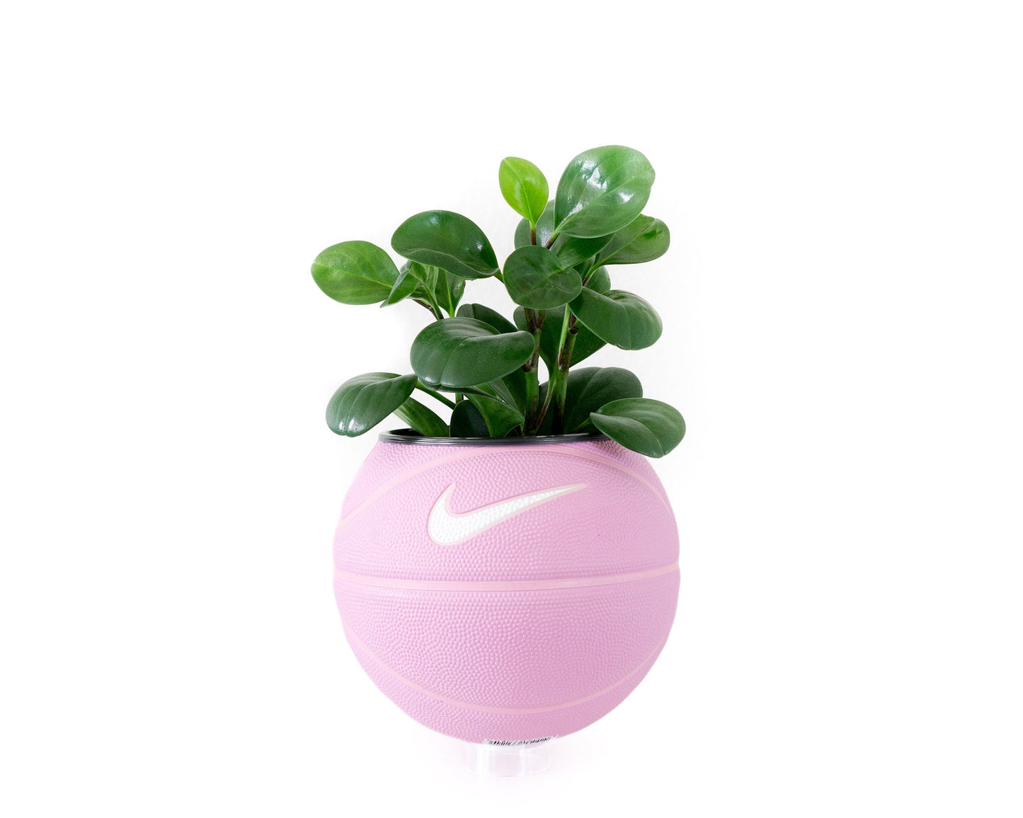 plntrs - Nike Pink Swoosh Mini Basketball Planter - new ball with stand