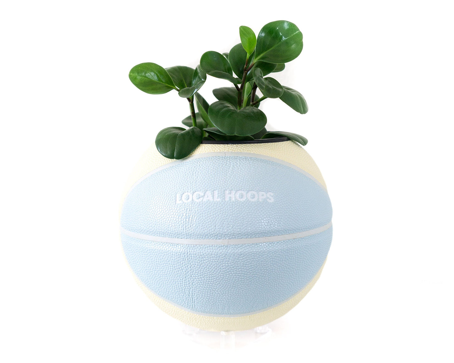 plntrs - Local Hoops Pastel Basketball Planter with stand (full size)