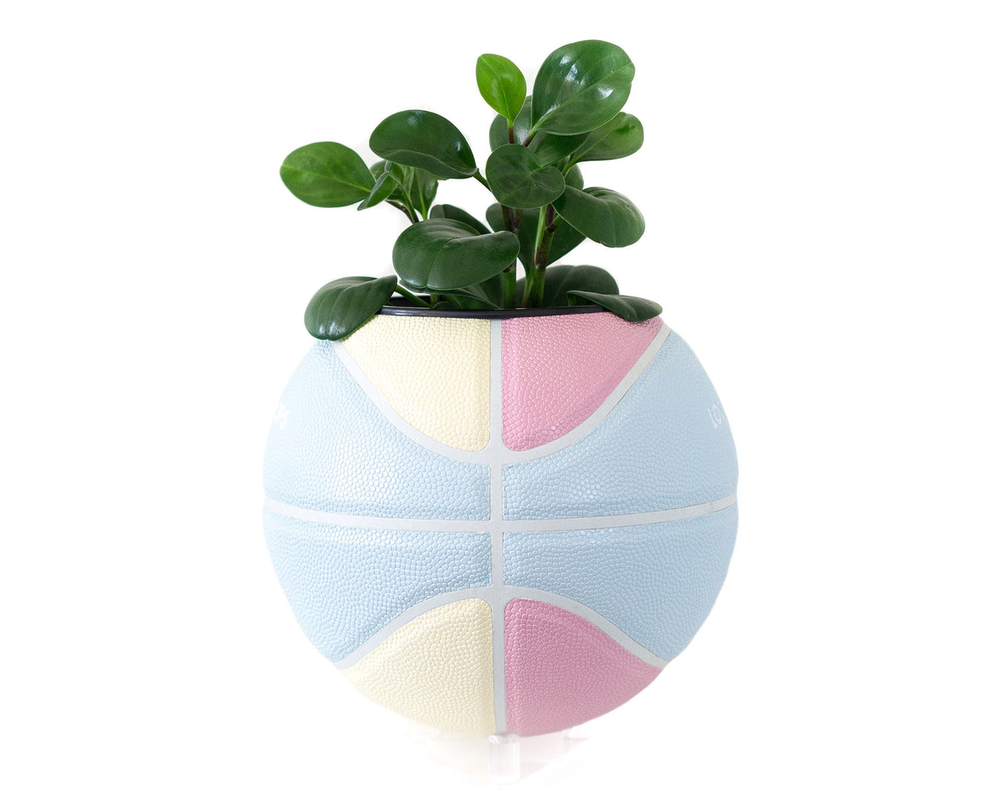 plntrs - Local Hoops Pastel Basketball Planter with stand (full size)