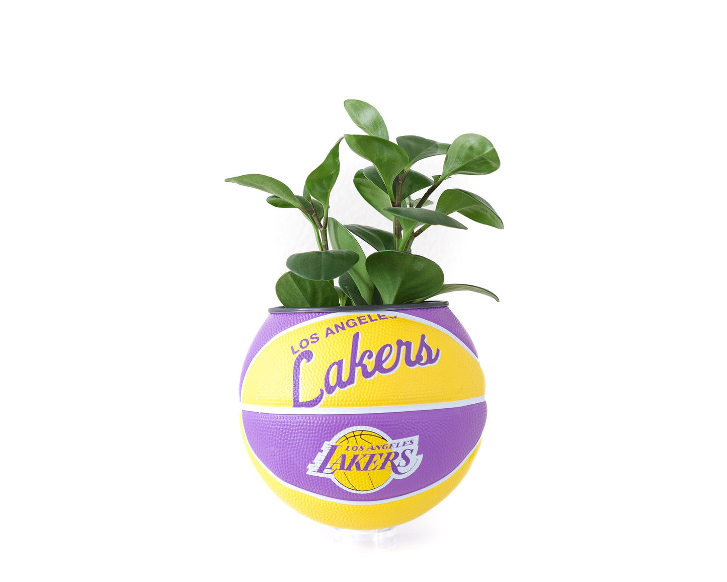 plntrs - Wilson Lakers Hardcourt Classic Mini Basketball Planter - new ball with stand