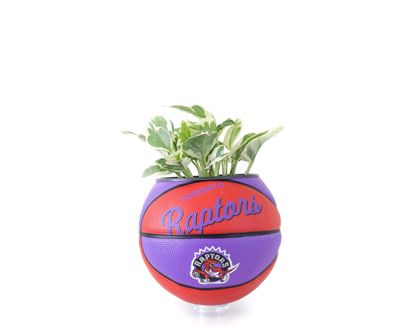 plntrs - Wilson Raptors Hardcourt Classic Mini Basketball Planter - new ball with stand
