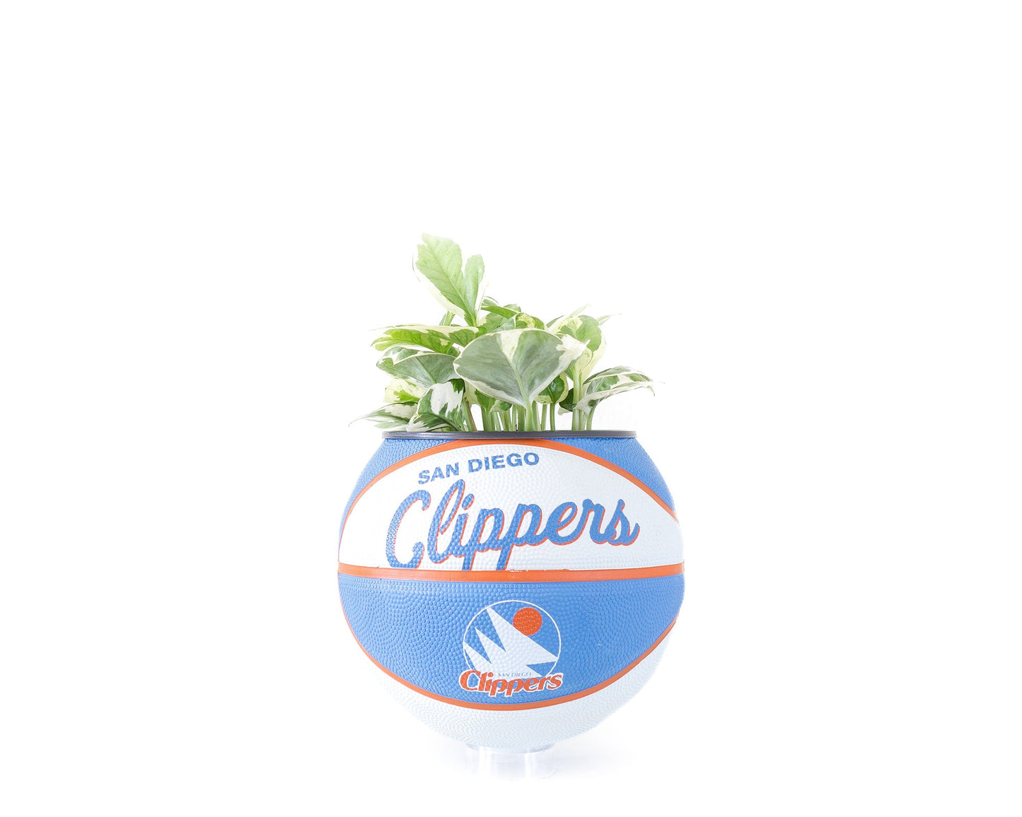plntrs - Wilson LA Clippers Hardcourt Classic Mini Basketball Planter - new ball with stand