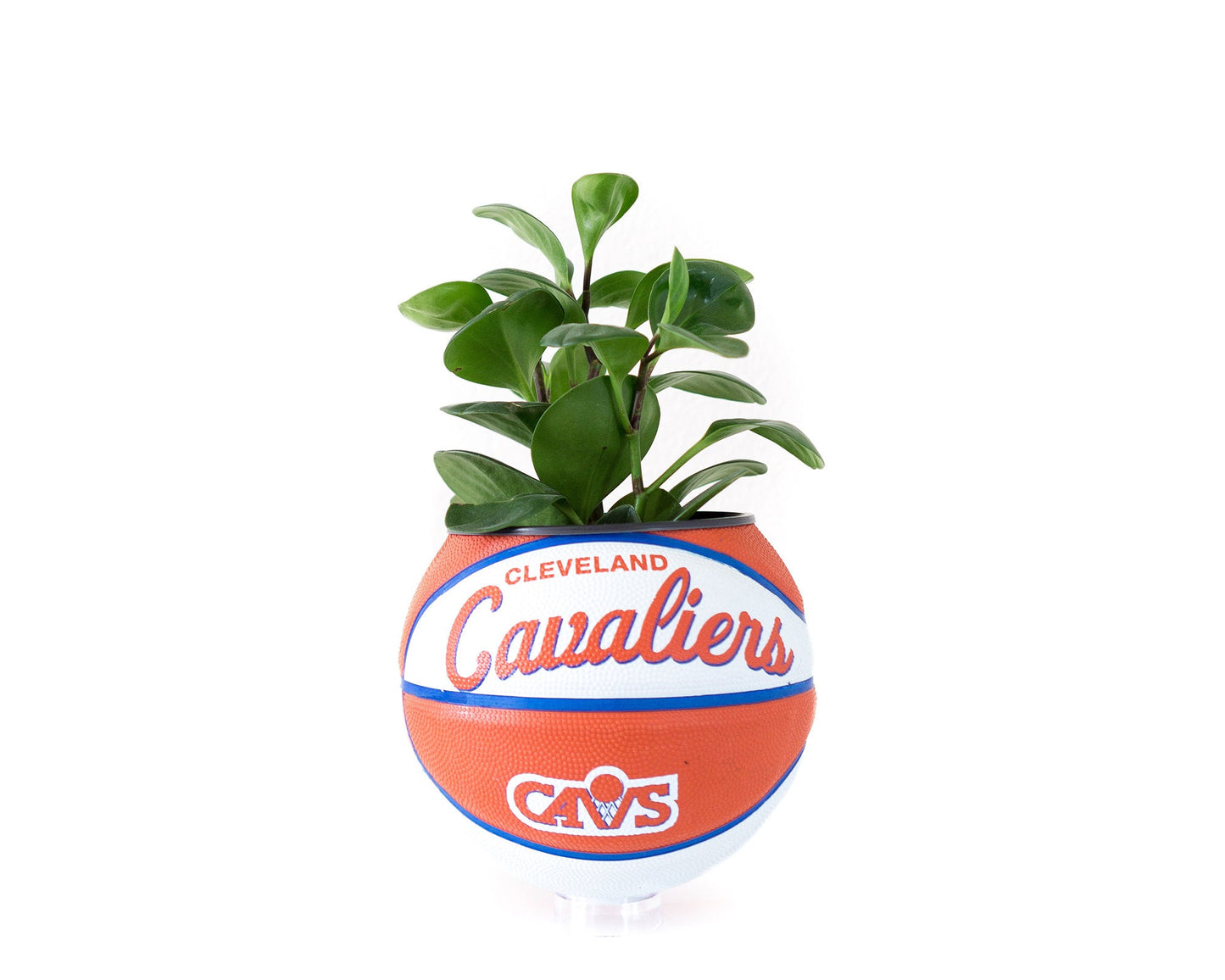 plntrs - Wilson Cleveland Cavs Cavaliers Hardcourt Classic Mini Basketball Planter - new ball with stand