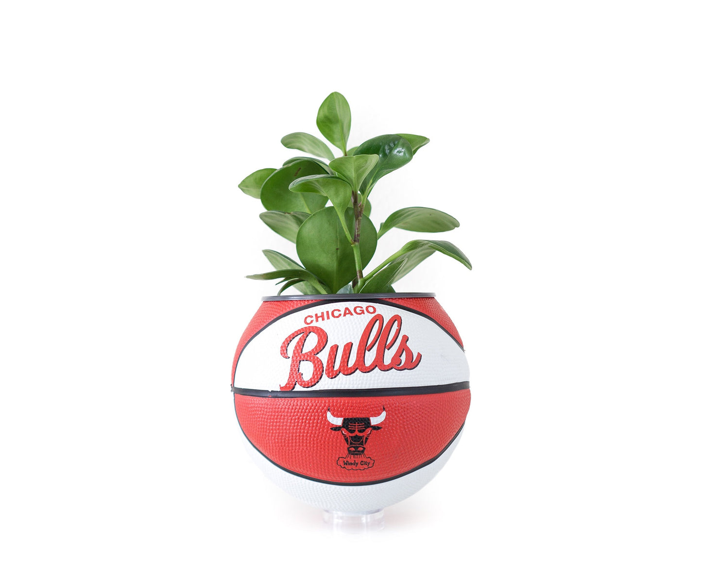 plntrs - Wilson Bulls Hardcourt Classic Mini Basketball Planter - new ball with stand